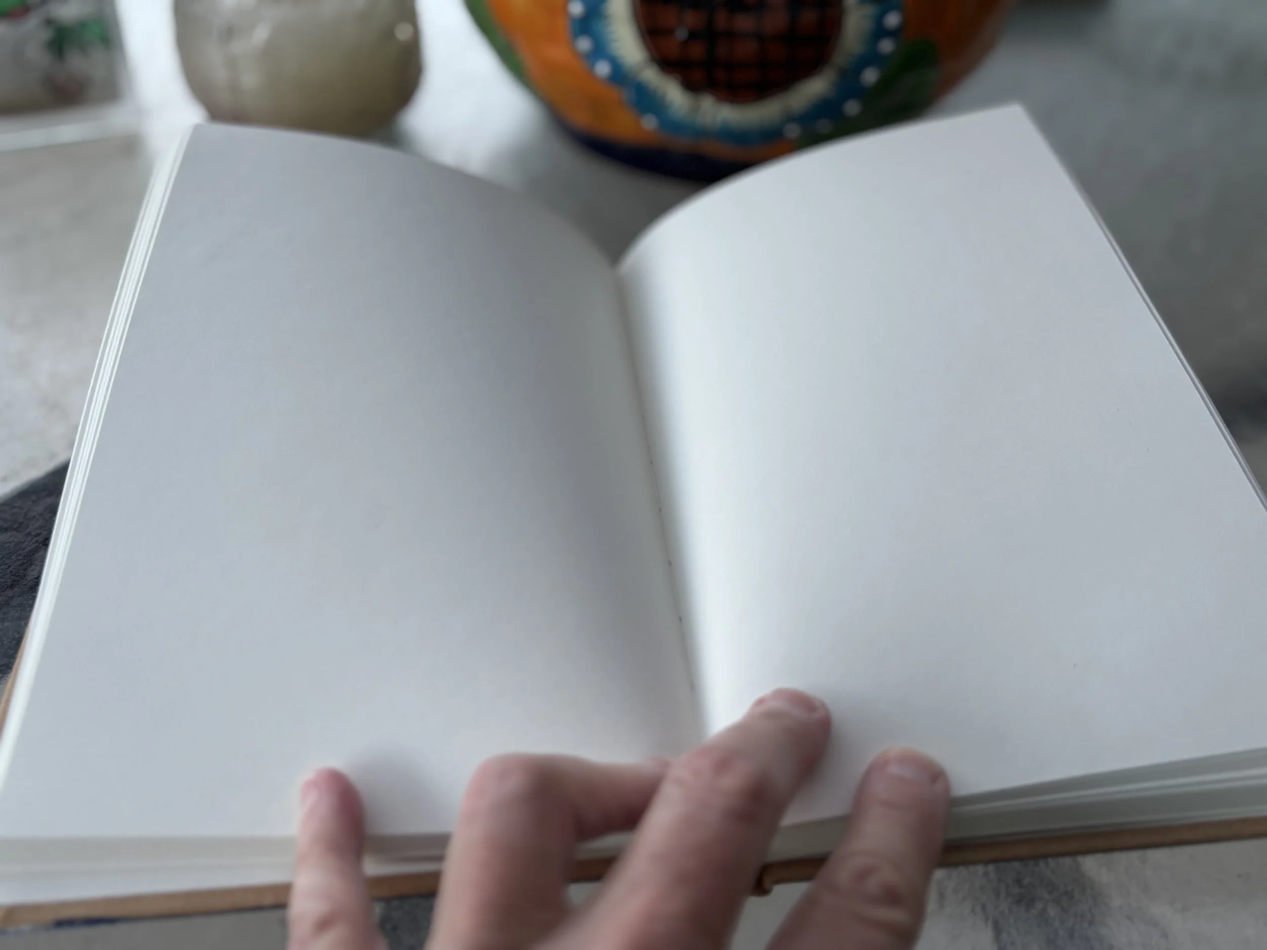 Blank book interior.jpeg