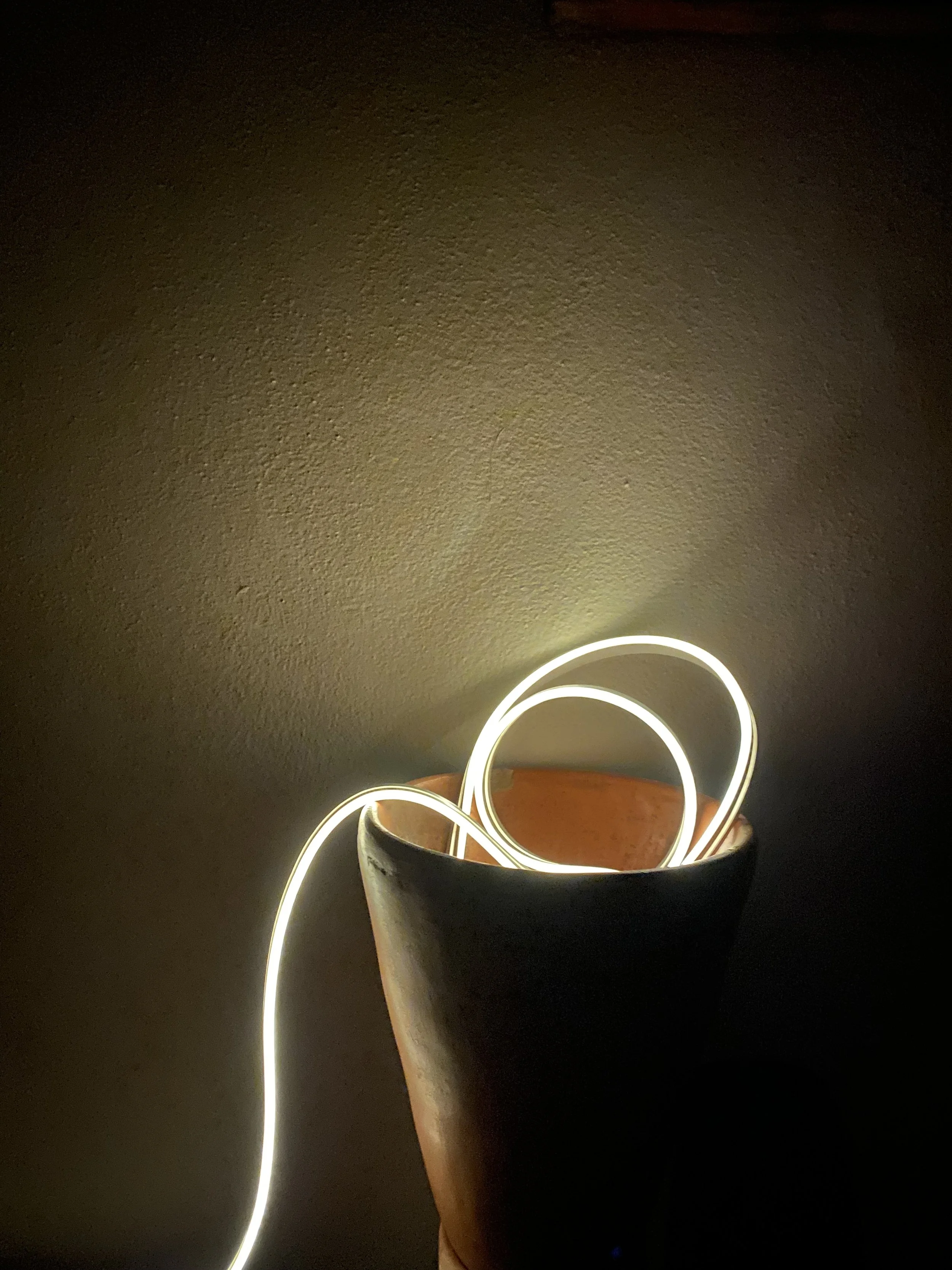 A terracotta flower pot with glowing LED neon light tubing arranged inside, against a plain wall background. Hypha Inc Marketing Agency and Creative Studio Lab, Tulum.