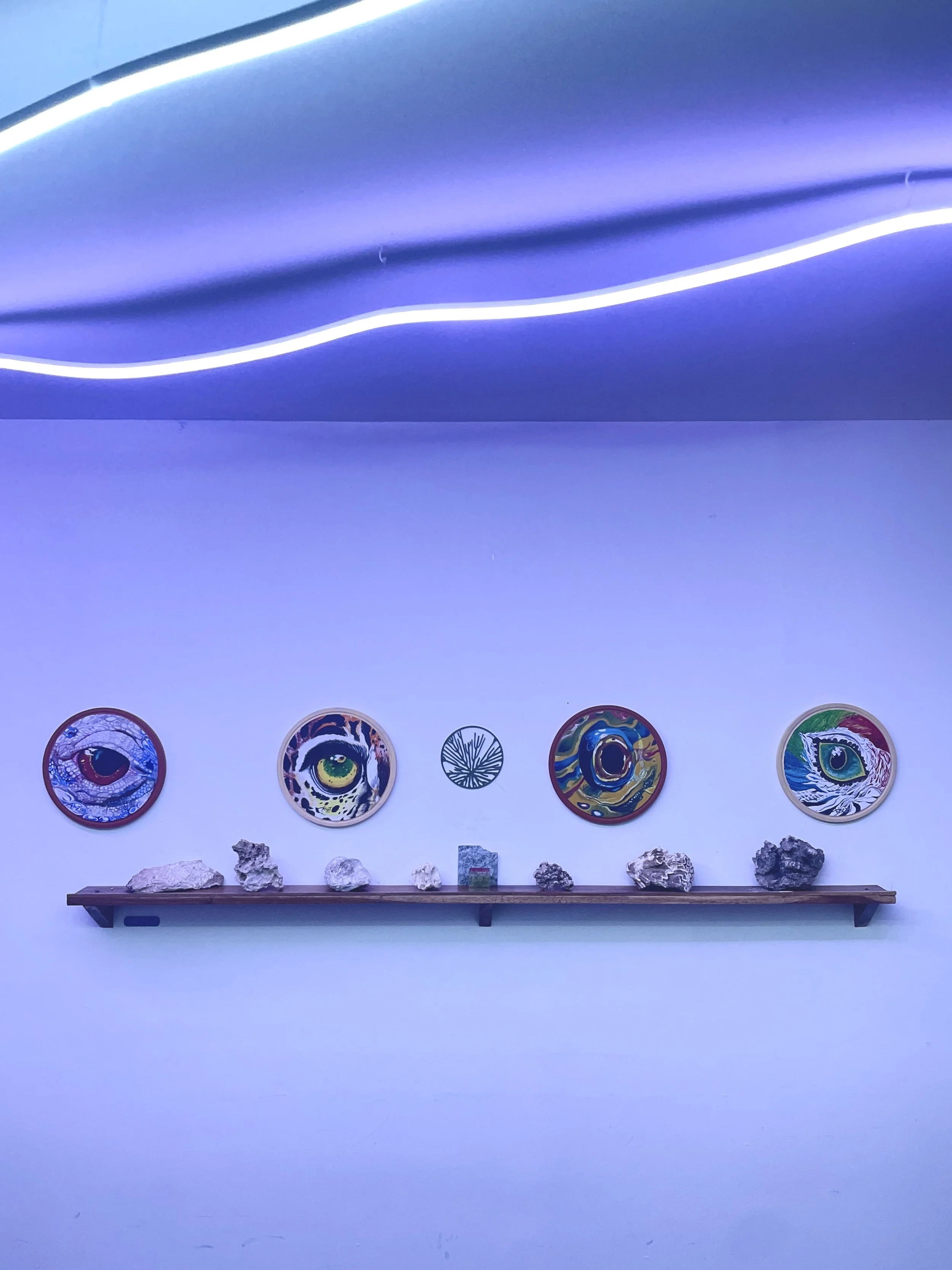 Gallery wall with five colorful, abstract eye-themed artworks, rocks, and a small sculpture on a wooden shelf, under blue lighting. Hypha Inc Marketing Agency and Creative Studio Lab, Tulum.