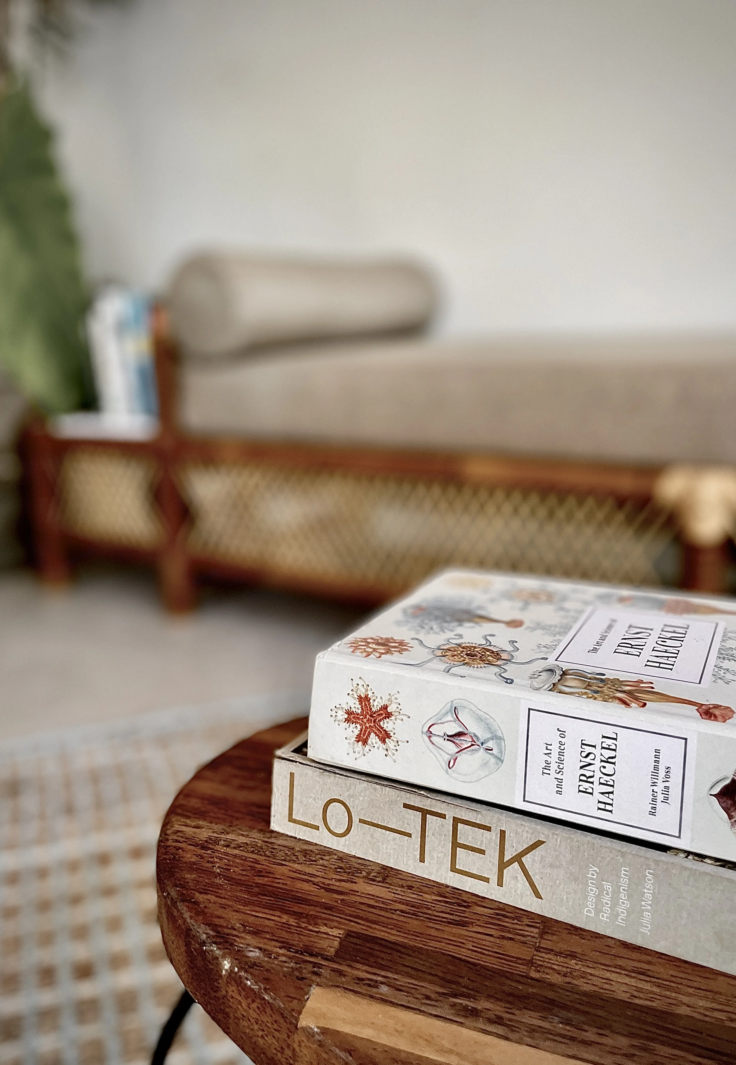 Close-up of two books on a wooden table, with a blurred living room in the background, including a beige couch and a wicker coffee table. Hypha Inc. Digital Marketing & Advertising Agency, Tulum