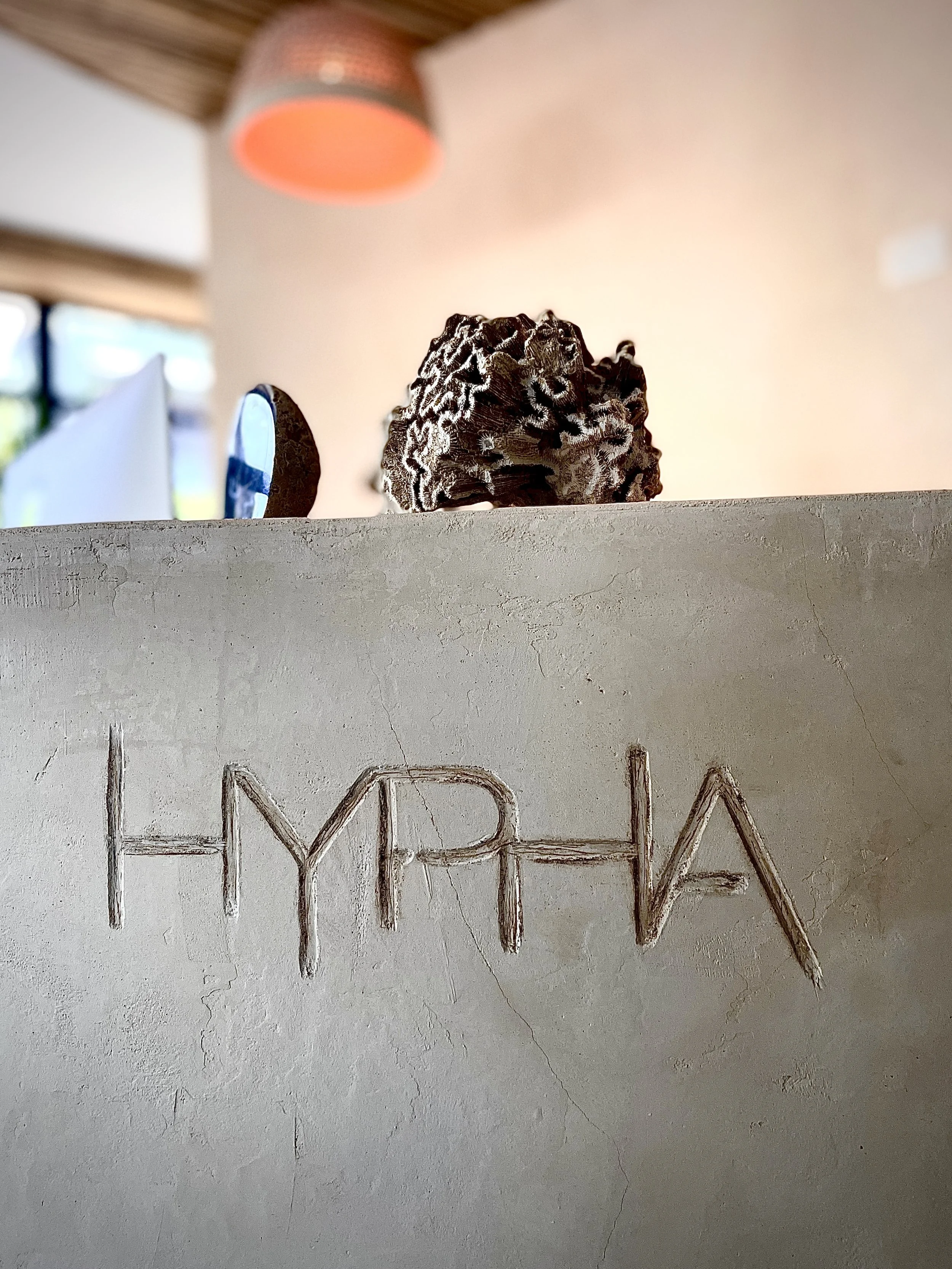 A close-up of a textured beige wall with the word 'HYPHA' carved into it. Behind the wall, on a higher surface, there are decorative objects, including a round, spiky coral-like sculpture and a circular object, with a blurred background featuring a p