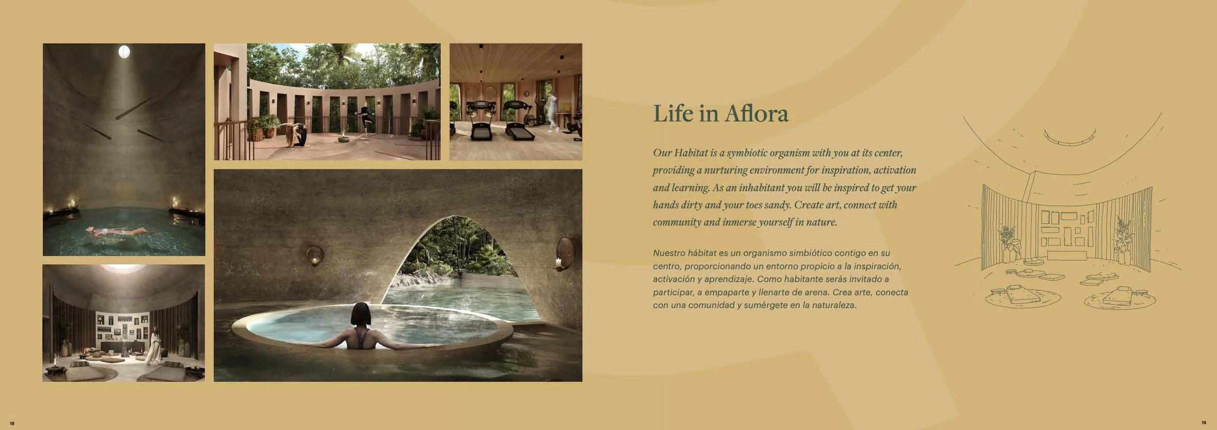 aflora-brochure-by-hypha11.jpg