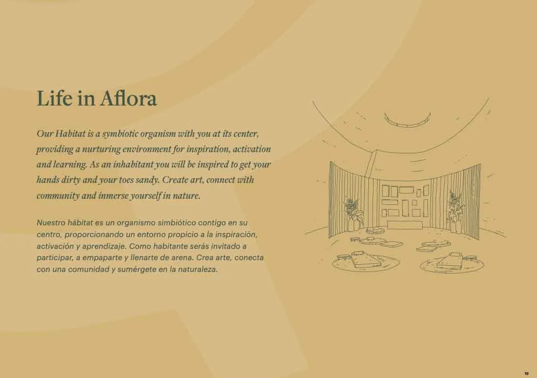 aflora-brochure-by-hypha2.jpg