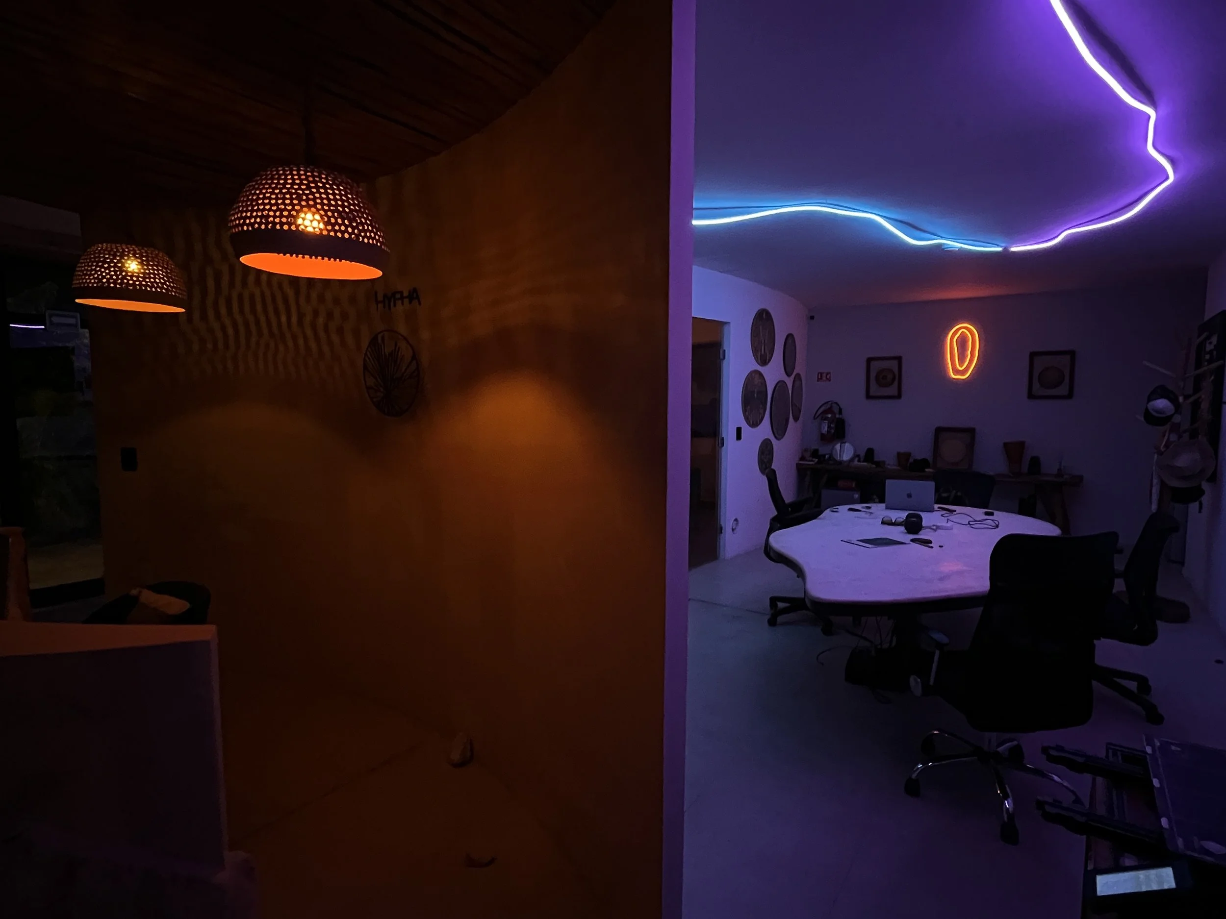 Papayas x Alejandro Glatt @ Hypha Inc HQ