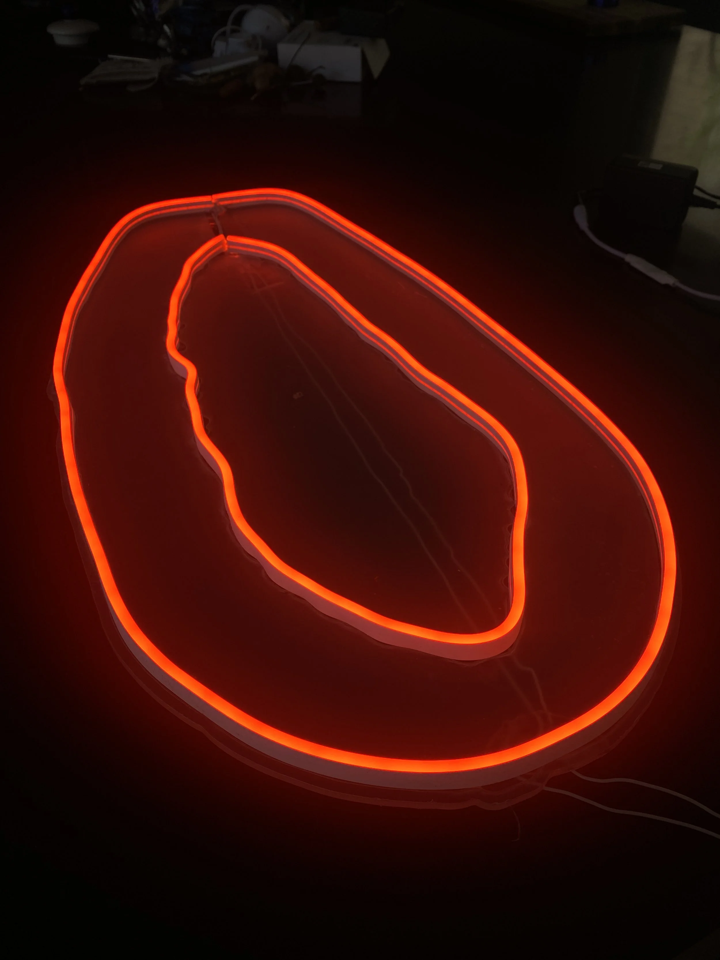 Papaya Portals x Alejandro Glatt @ Hypha Inc HQ