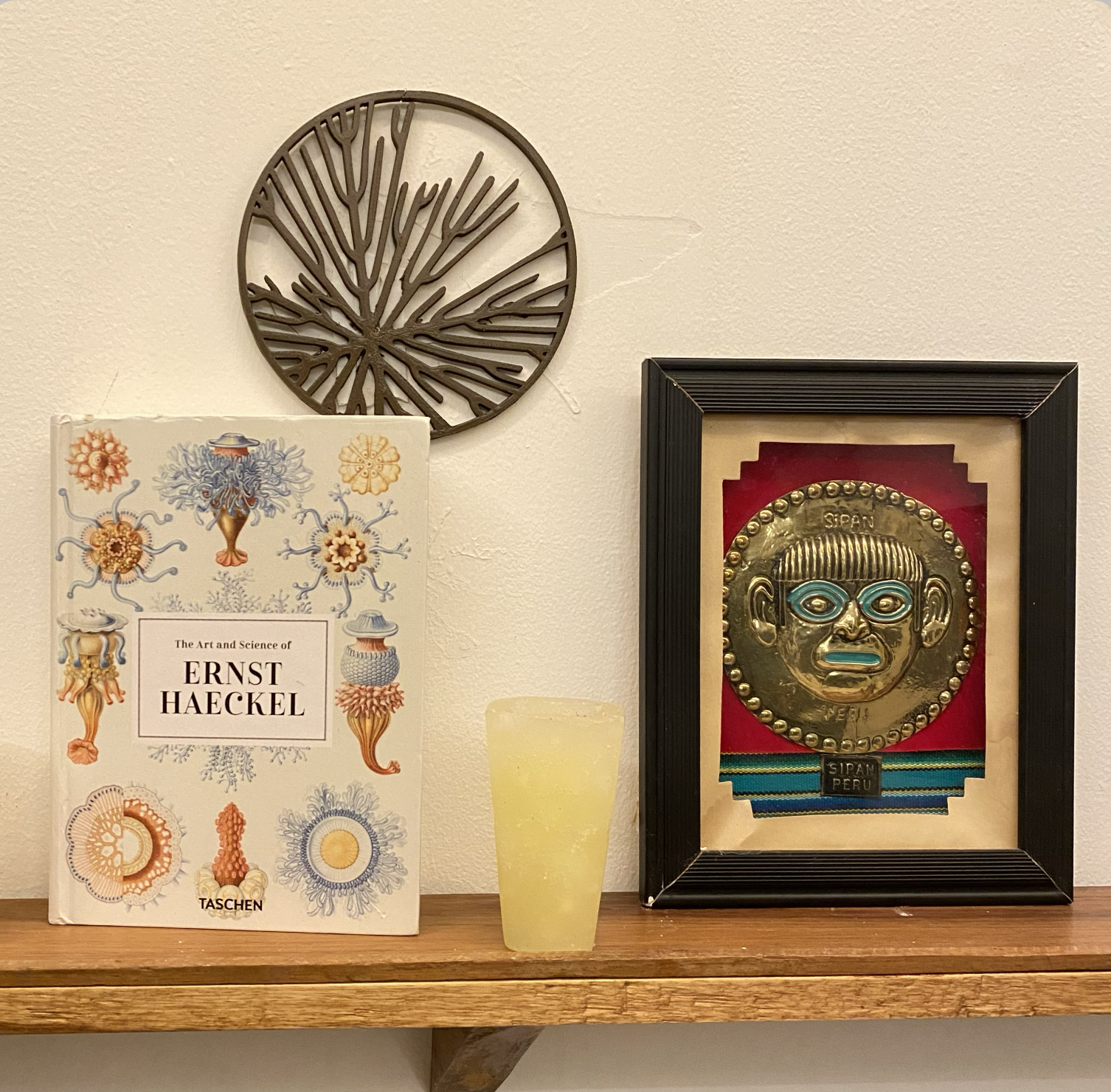 Decorative wall with a metal tree sculpture, a framed gold and silver mask labeled 'Spain Peru,' a yellow frosted glass, and a book titled 'The Art and Science of Ernst Haeckel' on a wooden shelf. Hypha Inc Marketing Agency and Creative Studio Lab
