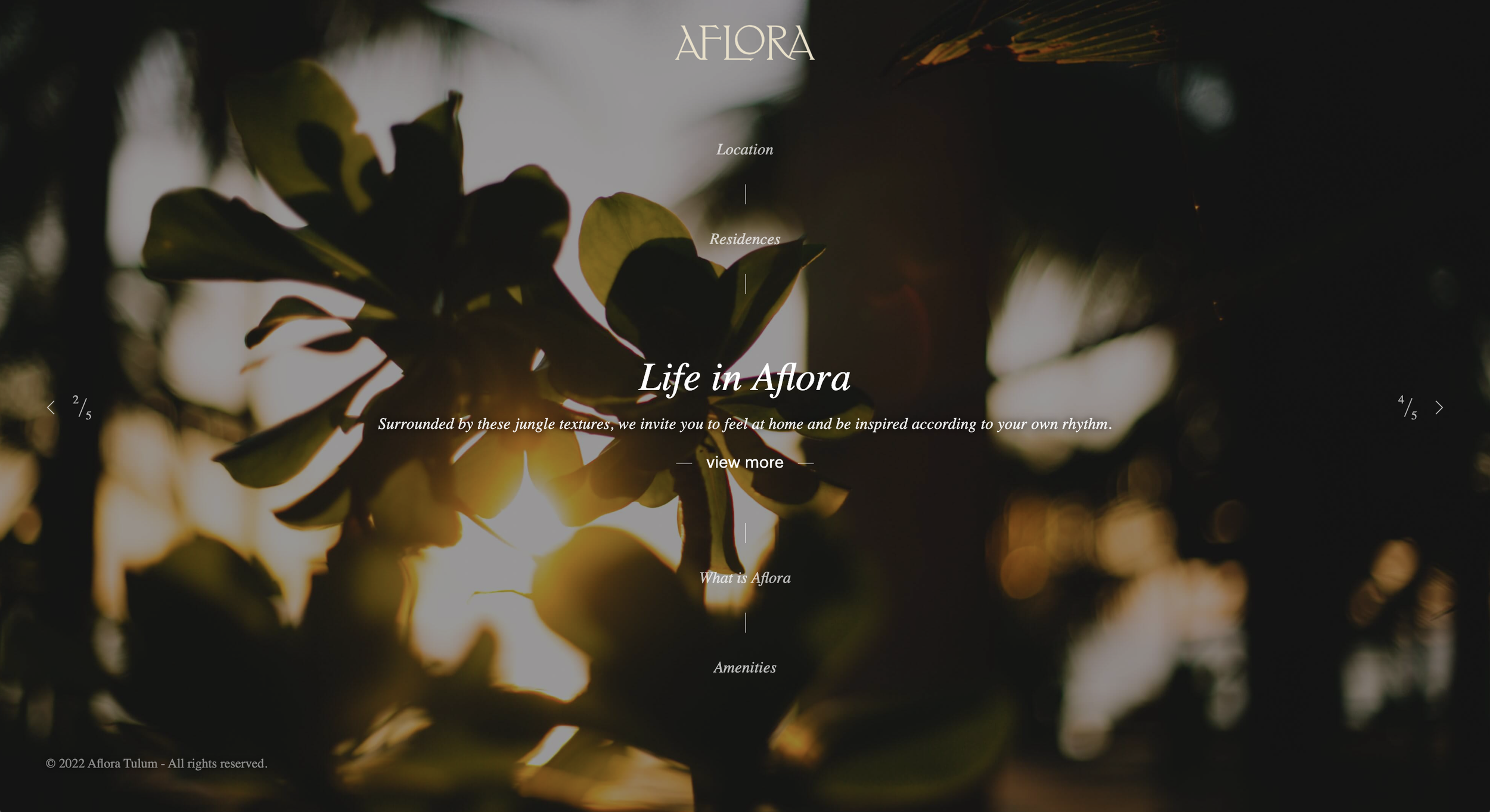 Sunset view through jungle foliage, with sunlight filtering through leaves. Web design menu