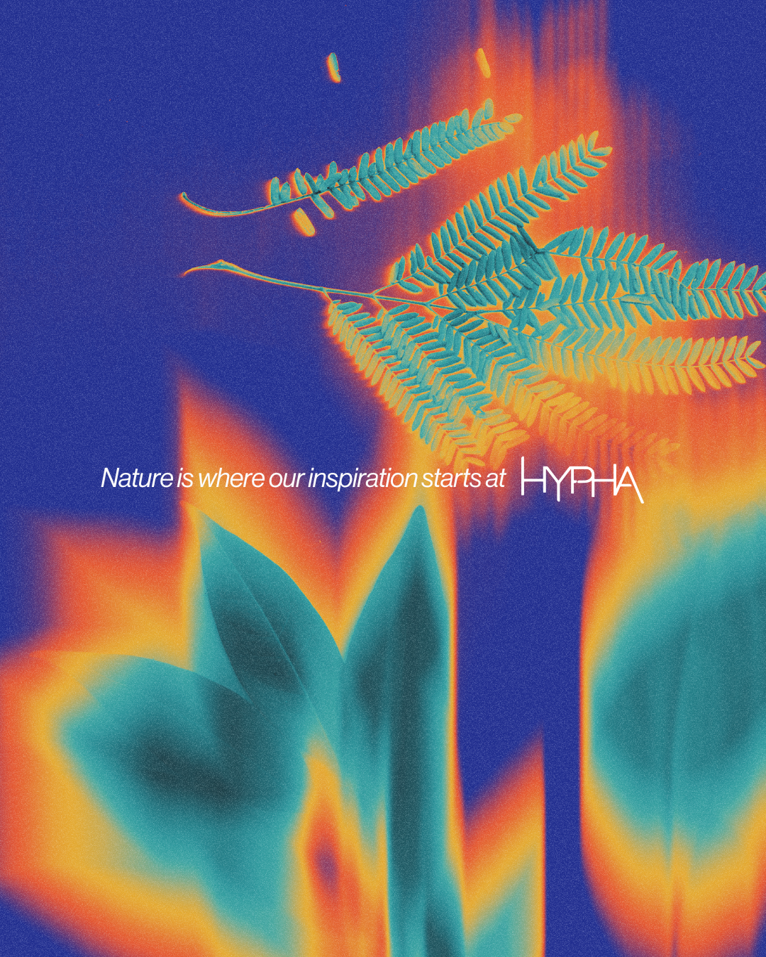 Colorful digital artwork of ferns and leaves with a glowing, abstract background. Text reads 'Nature is where our inspiration starts at HYPHA'. Hypha Inc. Marketing & Design Agency