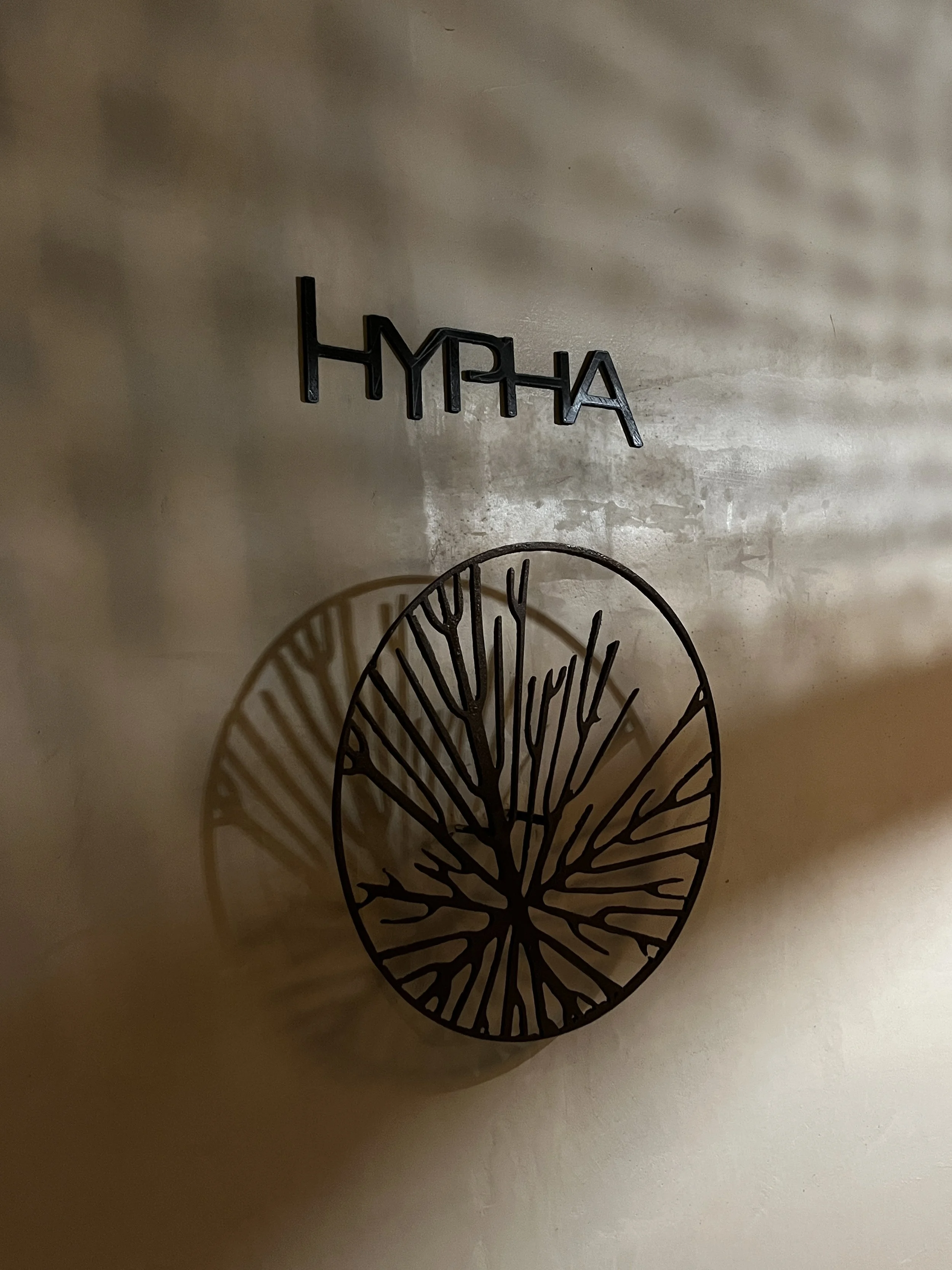 Wall art consisting of a name 'HYDRA' and a decorative circular metal piece with intricate branch-like design casting shadows on the wall. Hypha Inc Marketing Agency and Creative Studio Lab, Tulum.