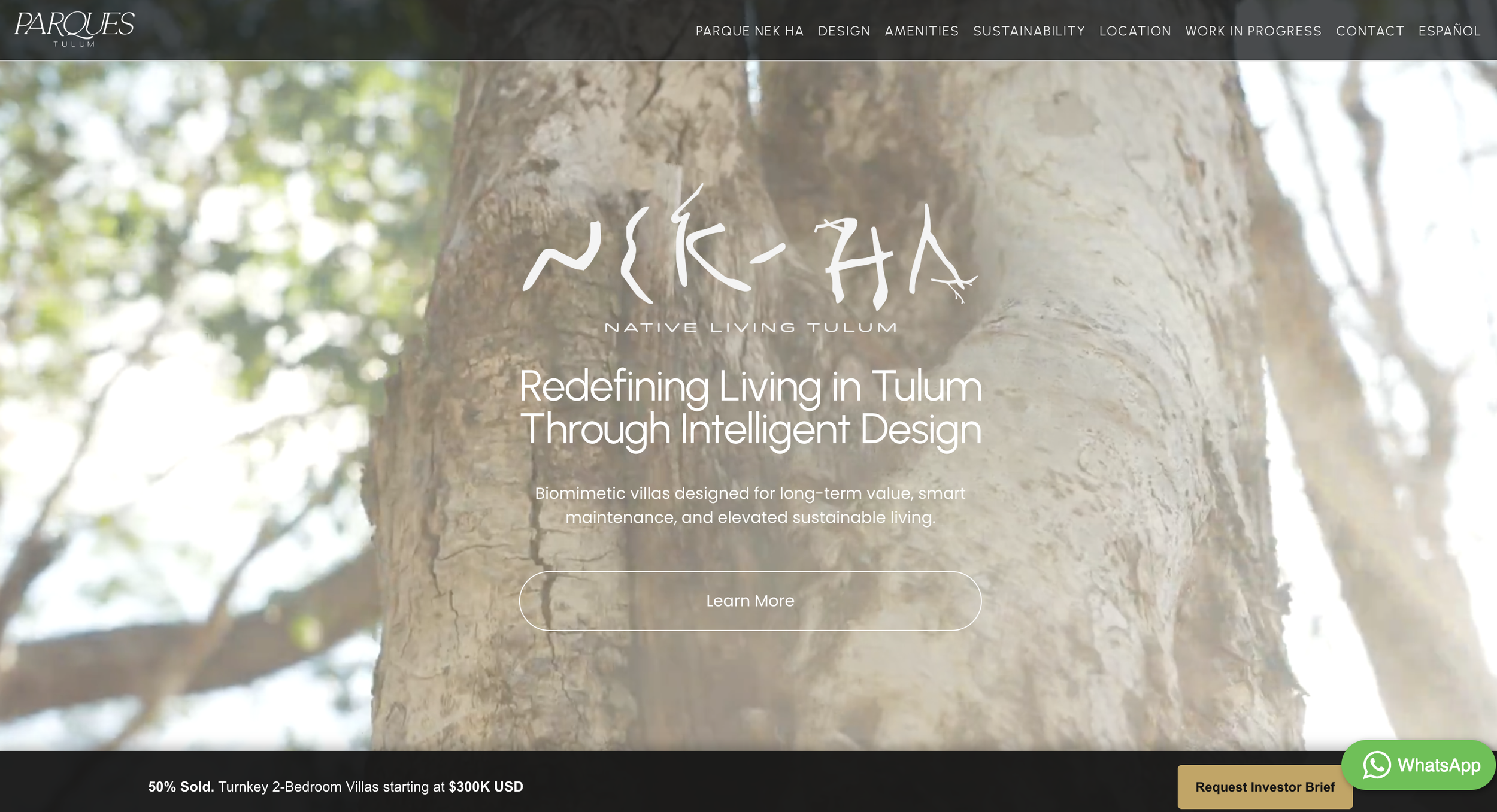 Parques Tulum web developer and web design tulum hypha inc