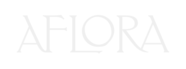 Tulum Branding Agency Hypha Inc