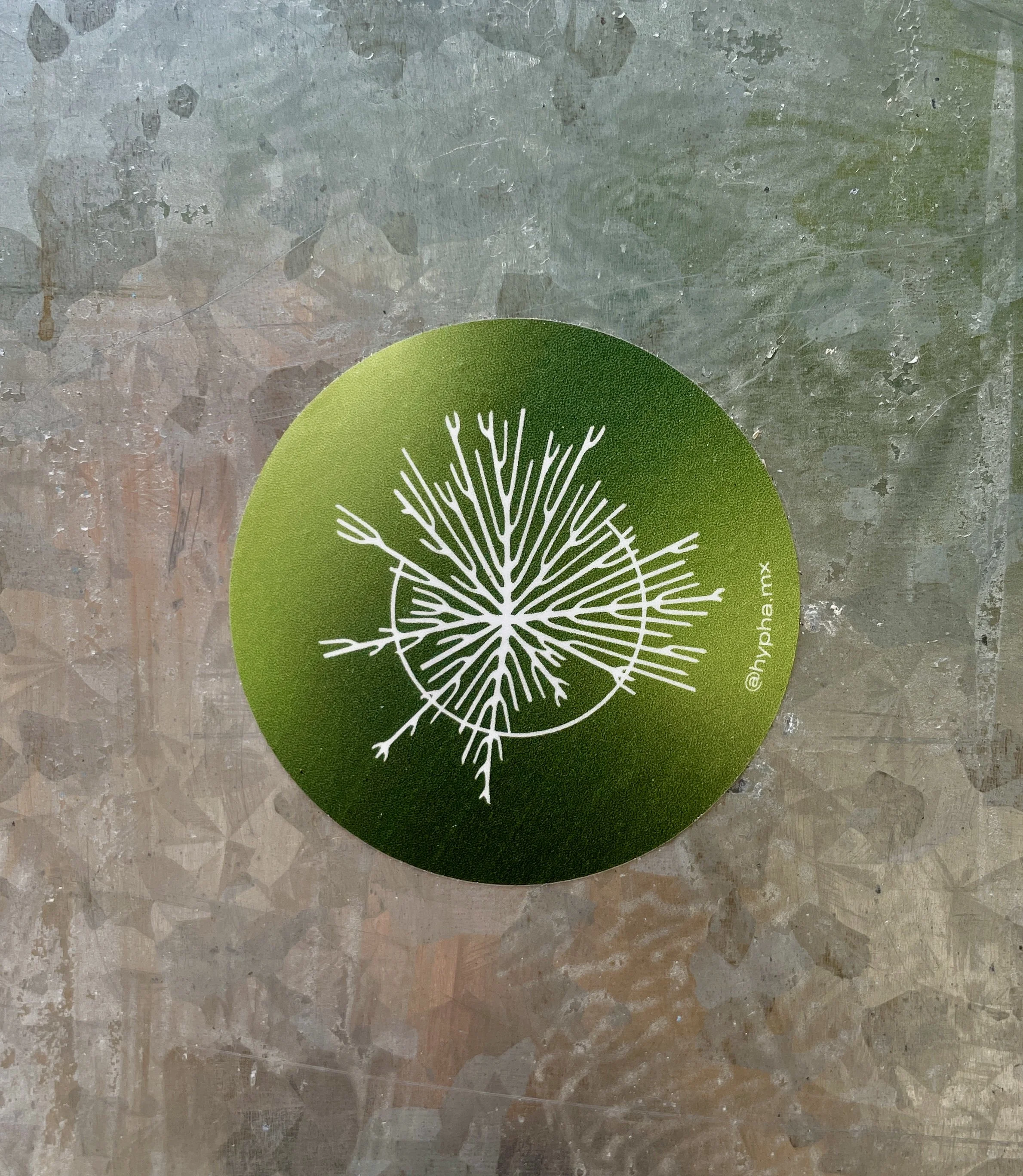 A green circular sticker with a Hypha Inc Logo and the text '@hypha.mx' on it, placed on a textured metallic surface. Hypha Inc Marketing Agency and Creative Studio Lab, Tulum.