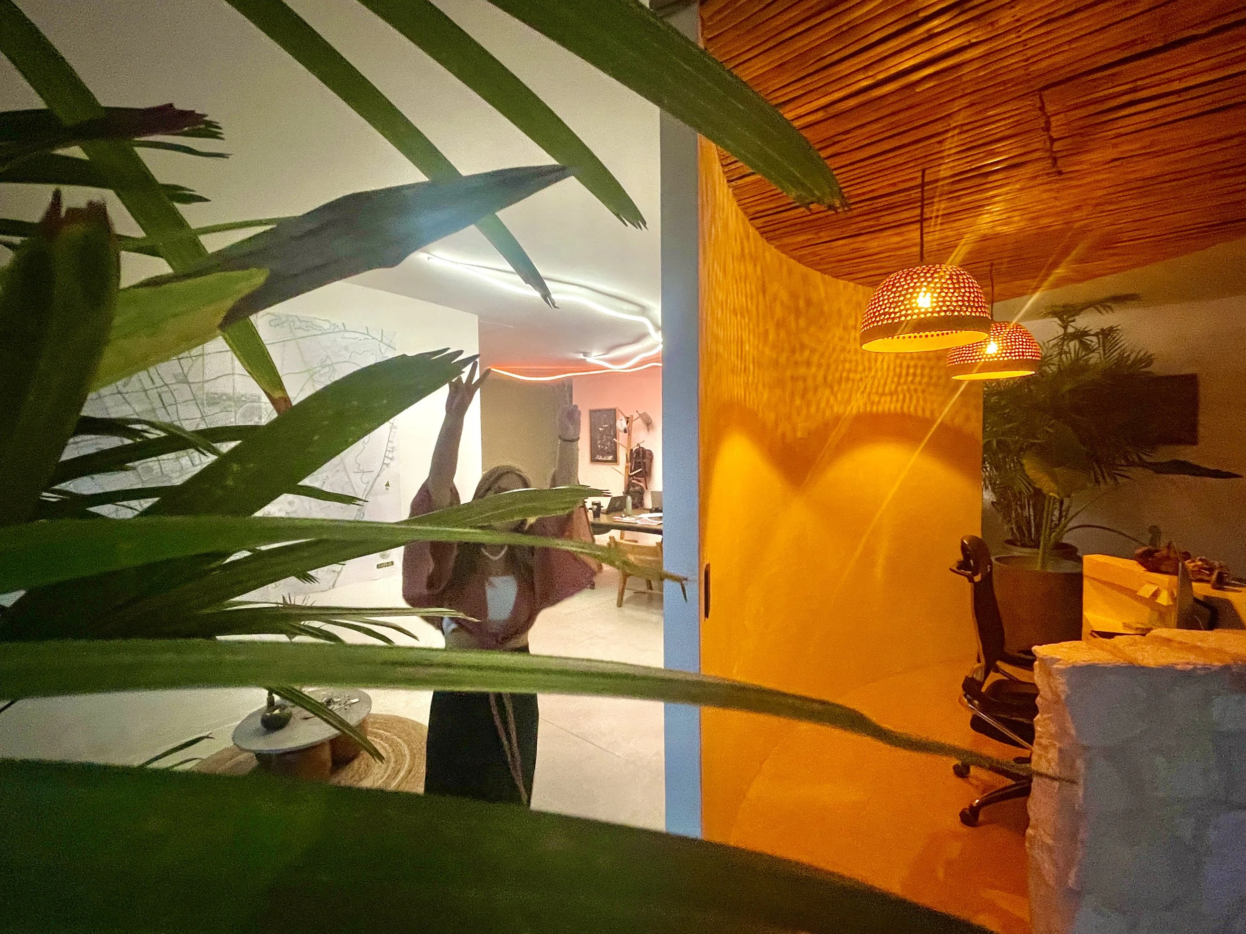 A person standing in front of a mirror, taking a selfie, with large green leaves partially obscuring the view. The room has colorful lighting and interior decor. Hypha Inc. Digital Marketing & Advertising Agency, Tulum