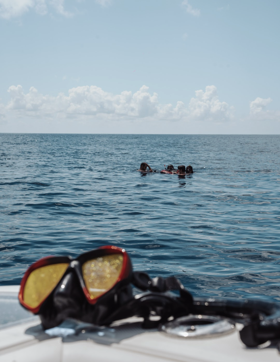 Snorkeling in Cozumel offers a unique glimpse into vibrant marine life, especially in El Cielo, famous for its starfish and shallow waters.