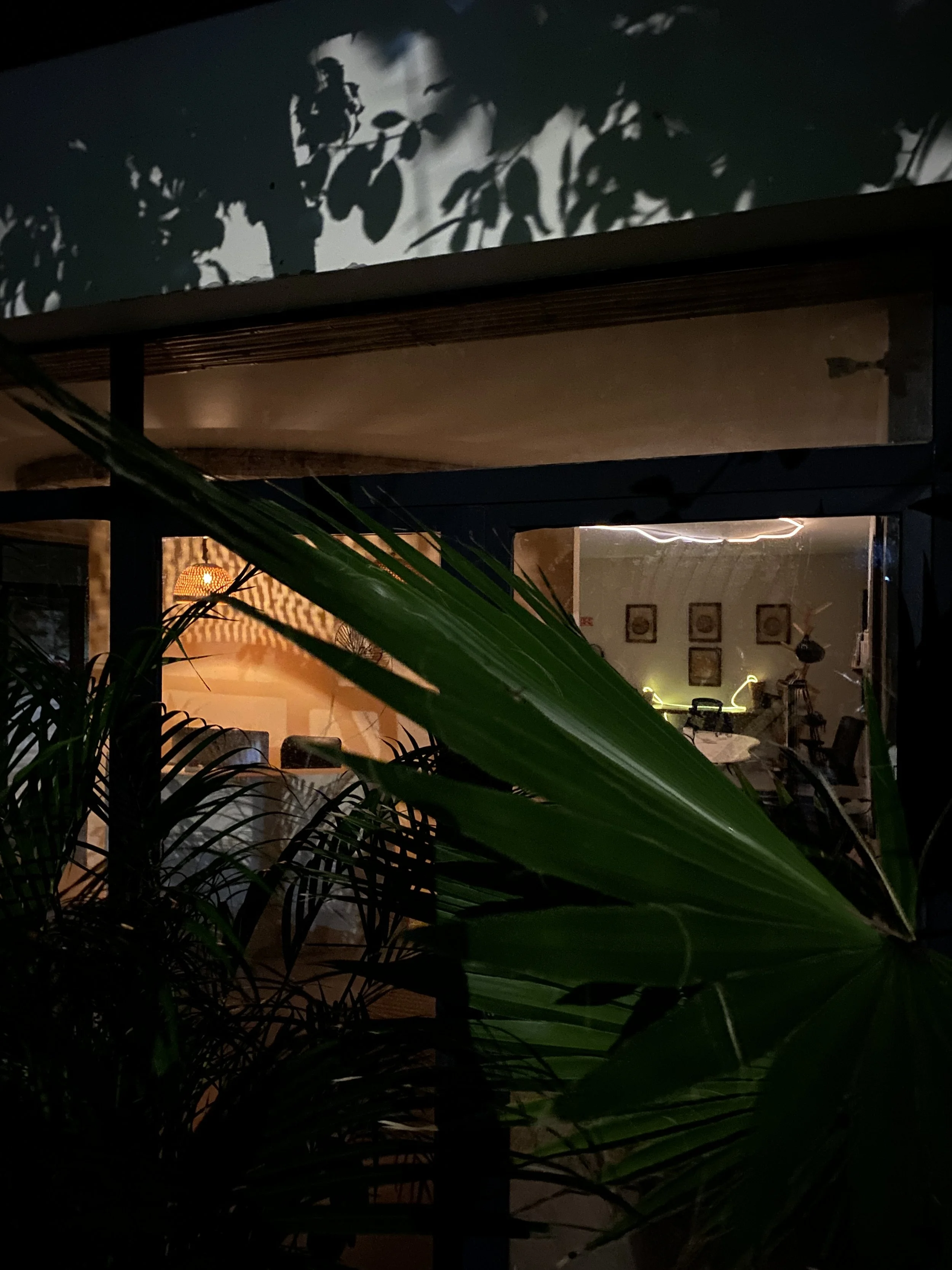 Night view of a house interior seen through large leafy plants, with warm ambient lighting and framed pictures on the wall. Hypha Inc Marketing Agency and Creative Studio Lab, Tulum.