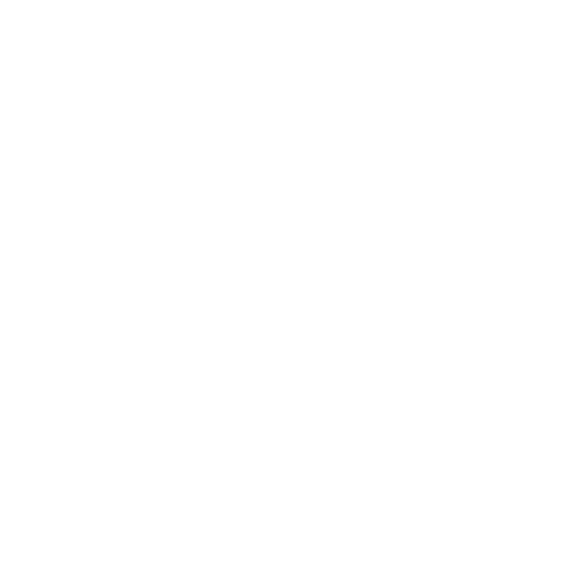 White coral or sea fan on black background.
