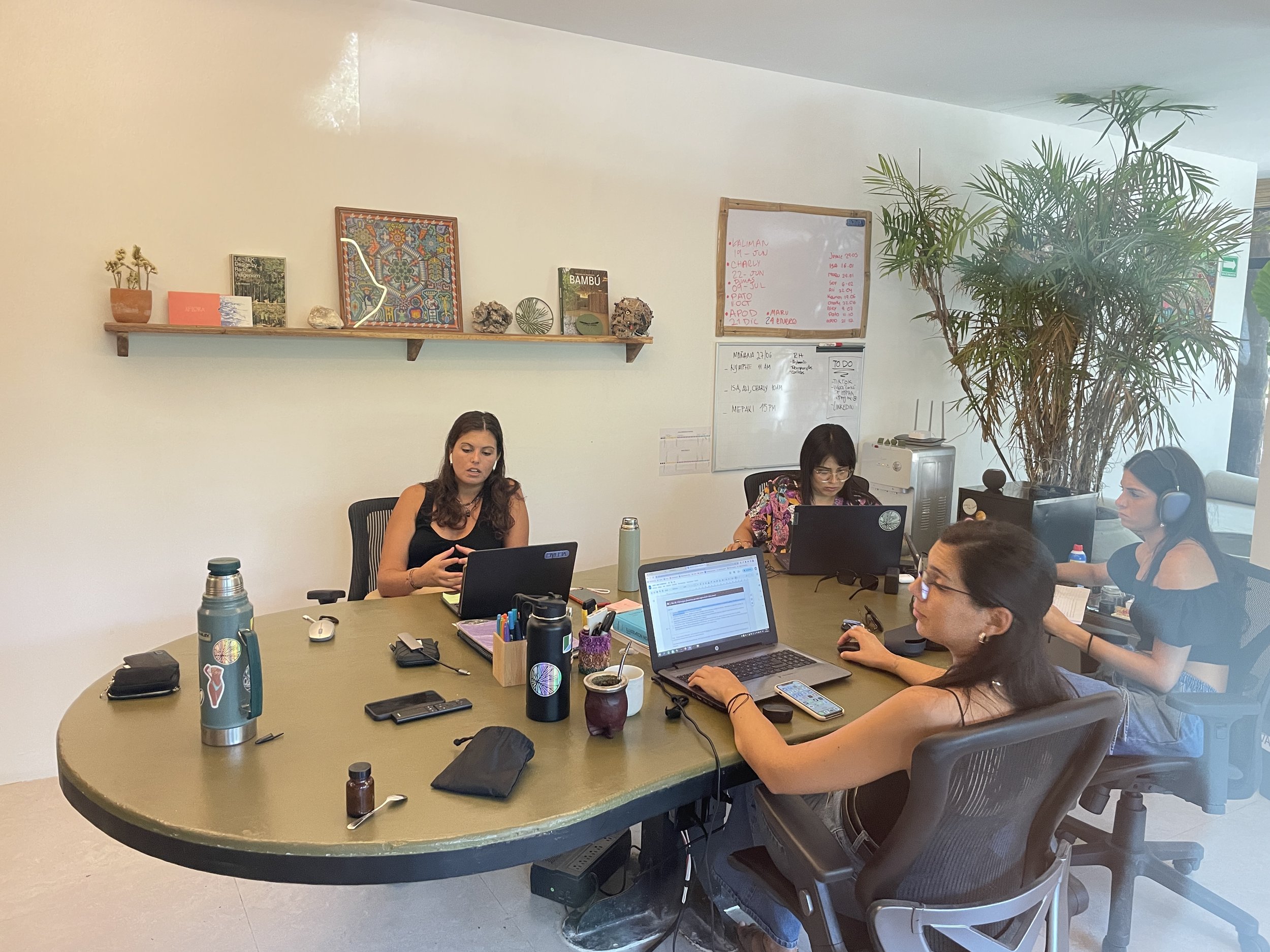 Four women sitting around a conference table in a meeting room with laptops, notebooks, and drinks. One woman is speaking, and others are listening or working. There is a whiteboard and decorative items on a shelf on the wall, and a large plant in th