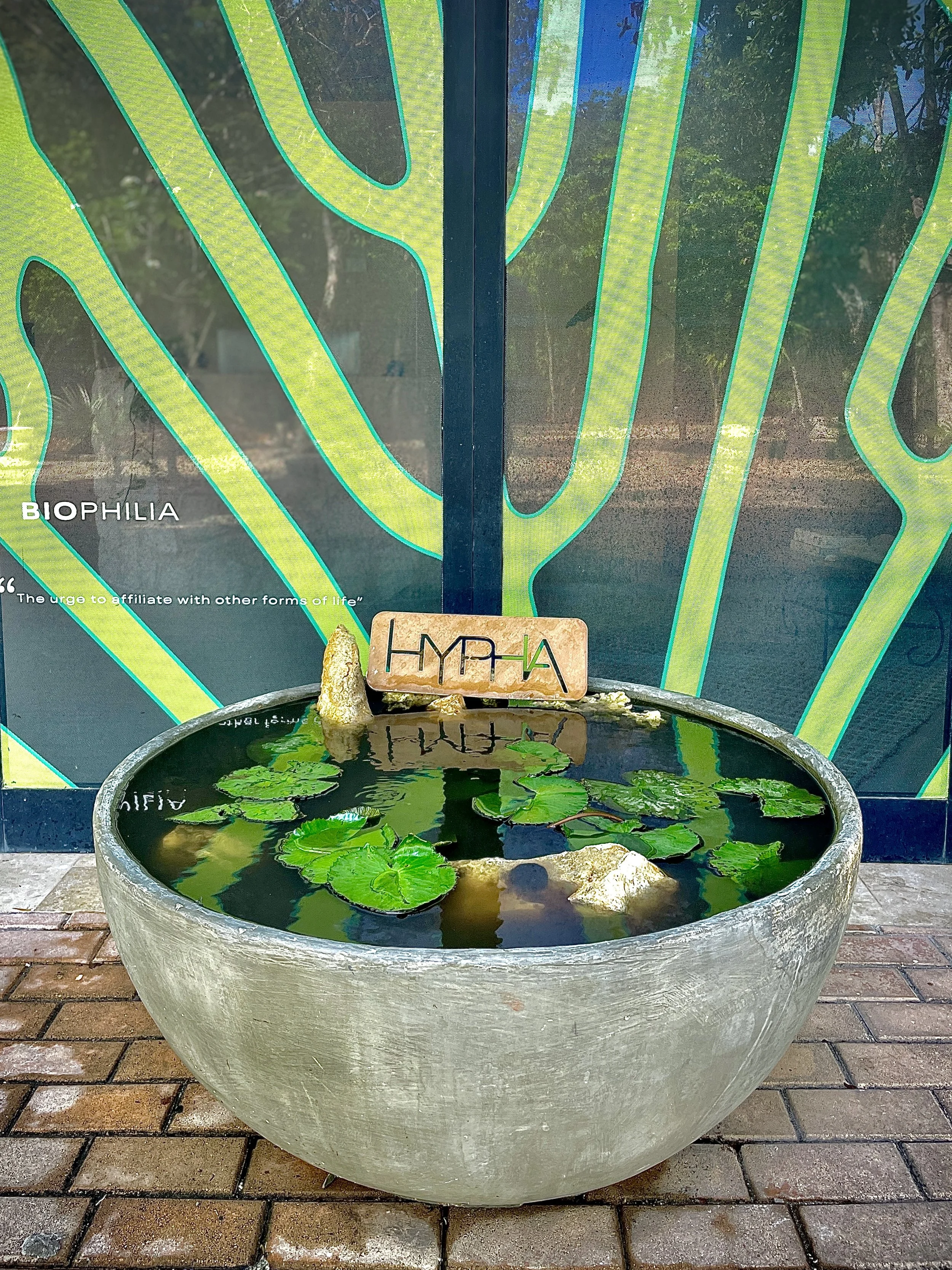 A large concrete bowl filled with water and floating water lilies, with a sign reading 'HYPHA' behind it, set against a glass wall with green and blue abstract designs.  Hypha Inc Marketing Agency and Creative Studio Lab, Tulum.