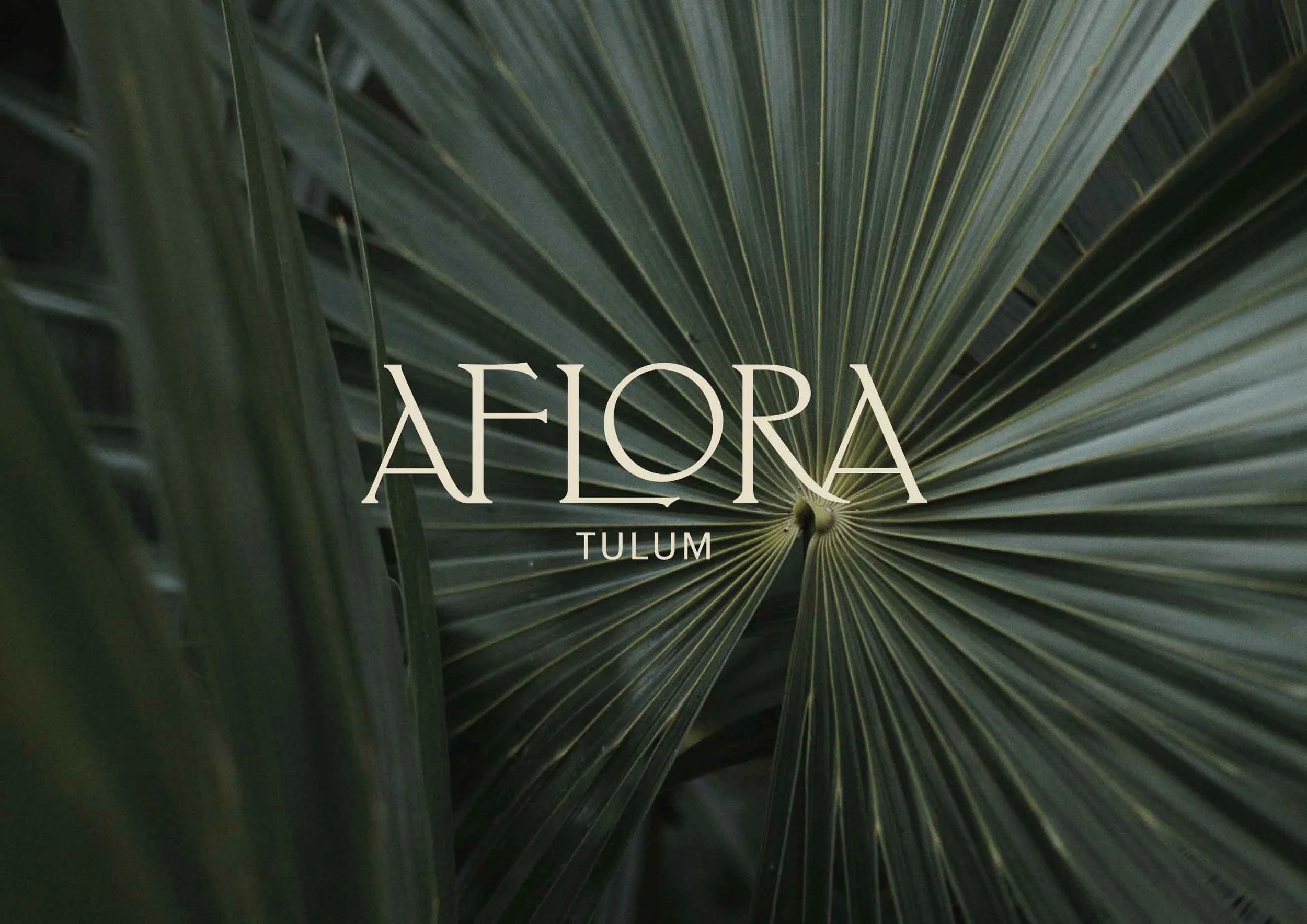 aflora-brochure-by-hypha1.jpg