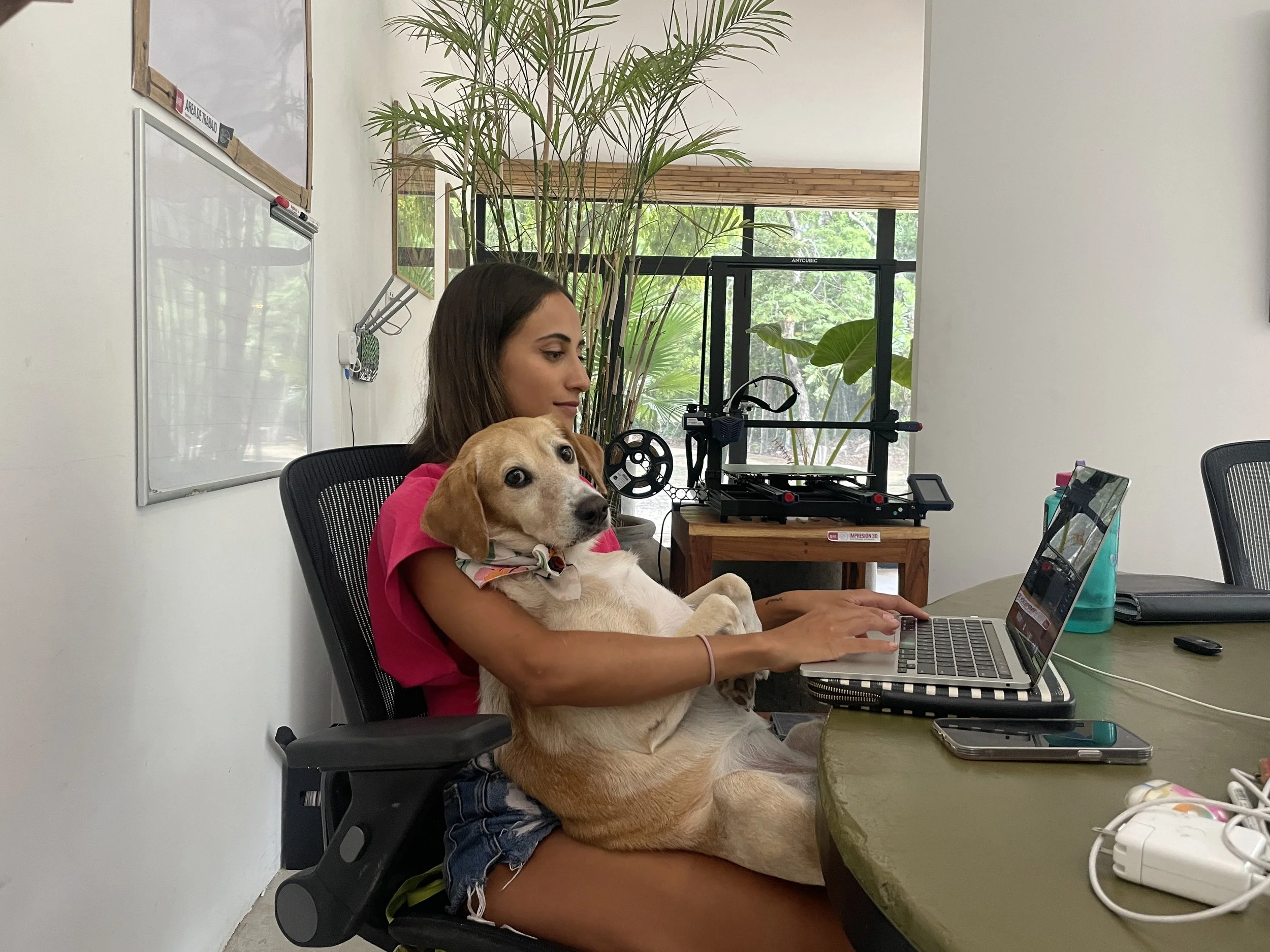 Rebeca is sitting at a desk indoors with a Kefir, small dog on her lap, working on a laptop. The room has a large window with greenery outside, a whiteboard on the wall, and a tall plant behind her. Hypha Inc Marketing Agency and Creative Studio