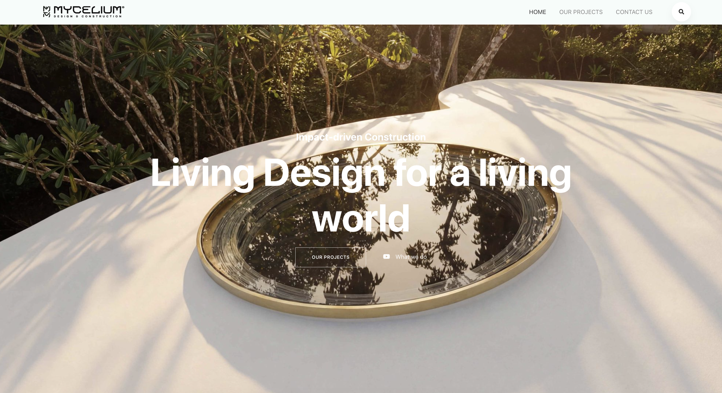 Mycelium building web development hypha inc