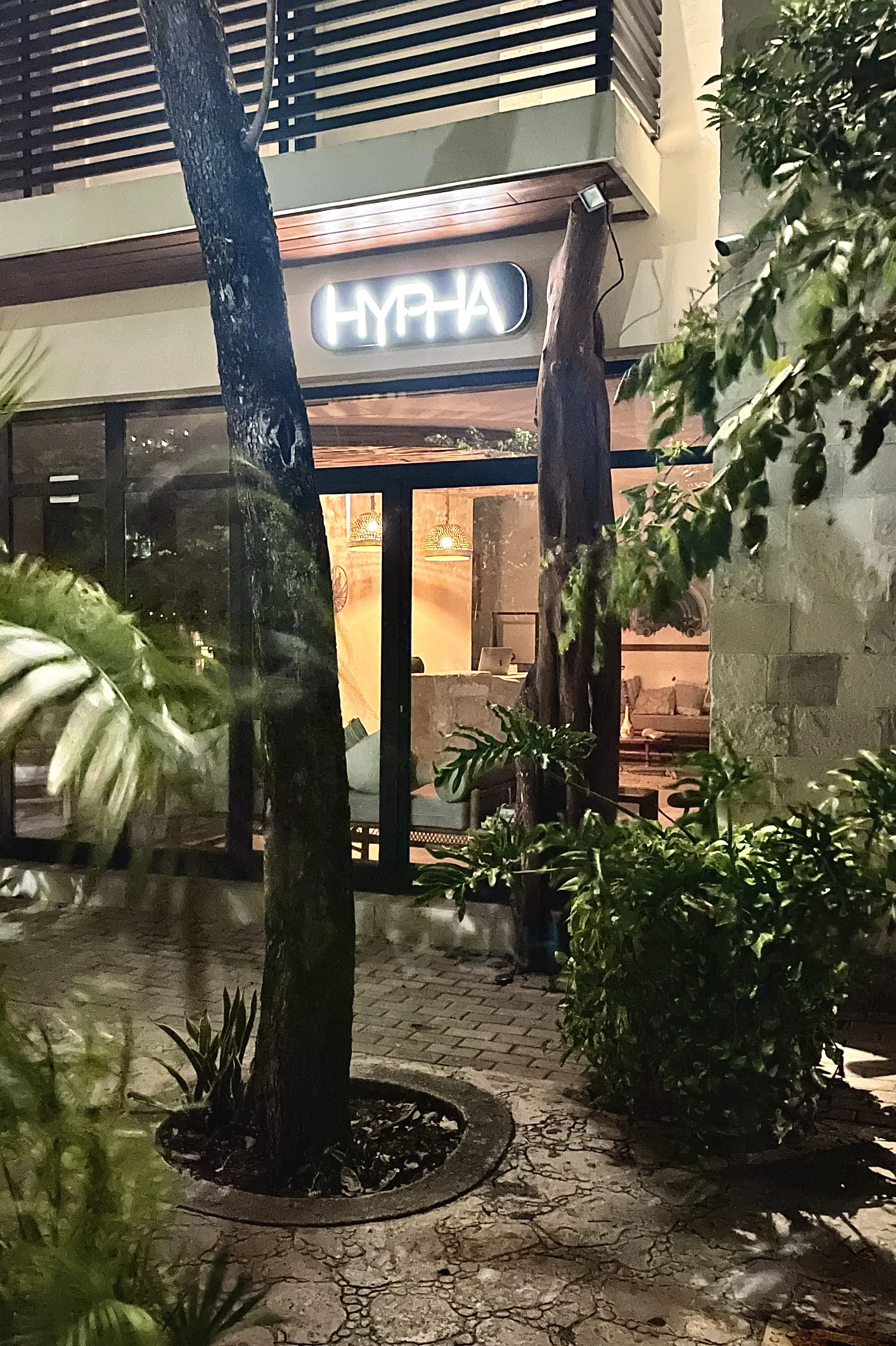 Nighttime view of a cozy restaurant entrance with a sign that reads 'HYPHA', illuminated from behind. The entrance features a glass door, with greenery and trees surrounding the sidewalk. Hypha Inc Marketing Agency and Creative Studio Lab, Tulum.