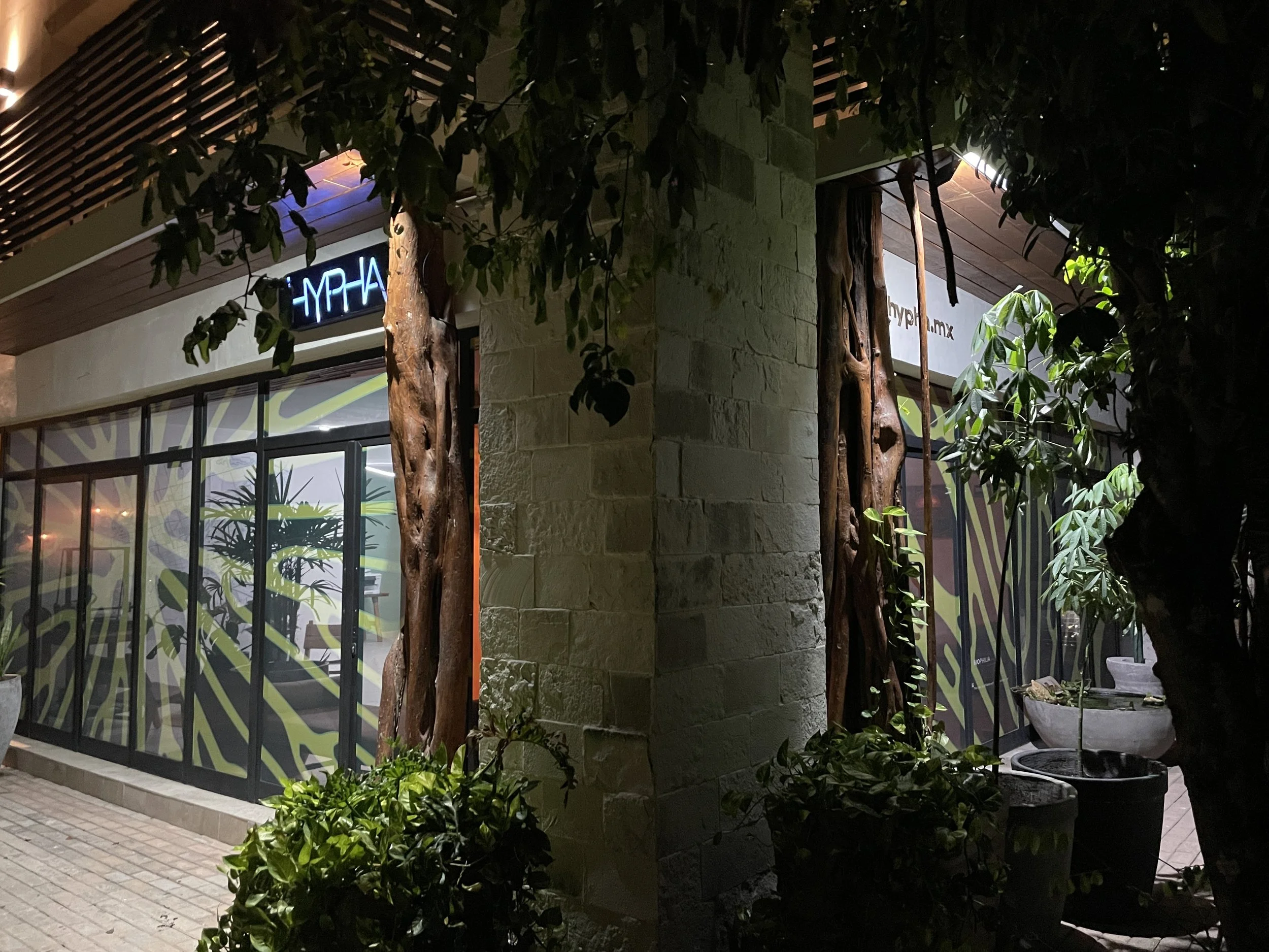 Nighttime view of the corner of a building with glass windows, wooden accents, and a neon sign that says 'HYPER'. There are decorative plants and trees outside the building.