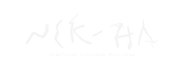 brands of tulum nek ha real estate