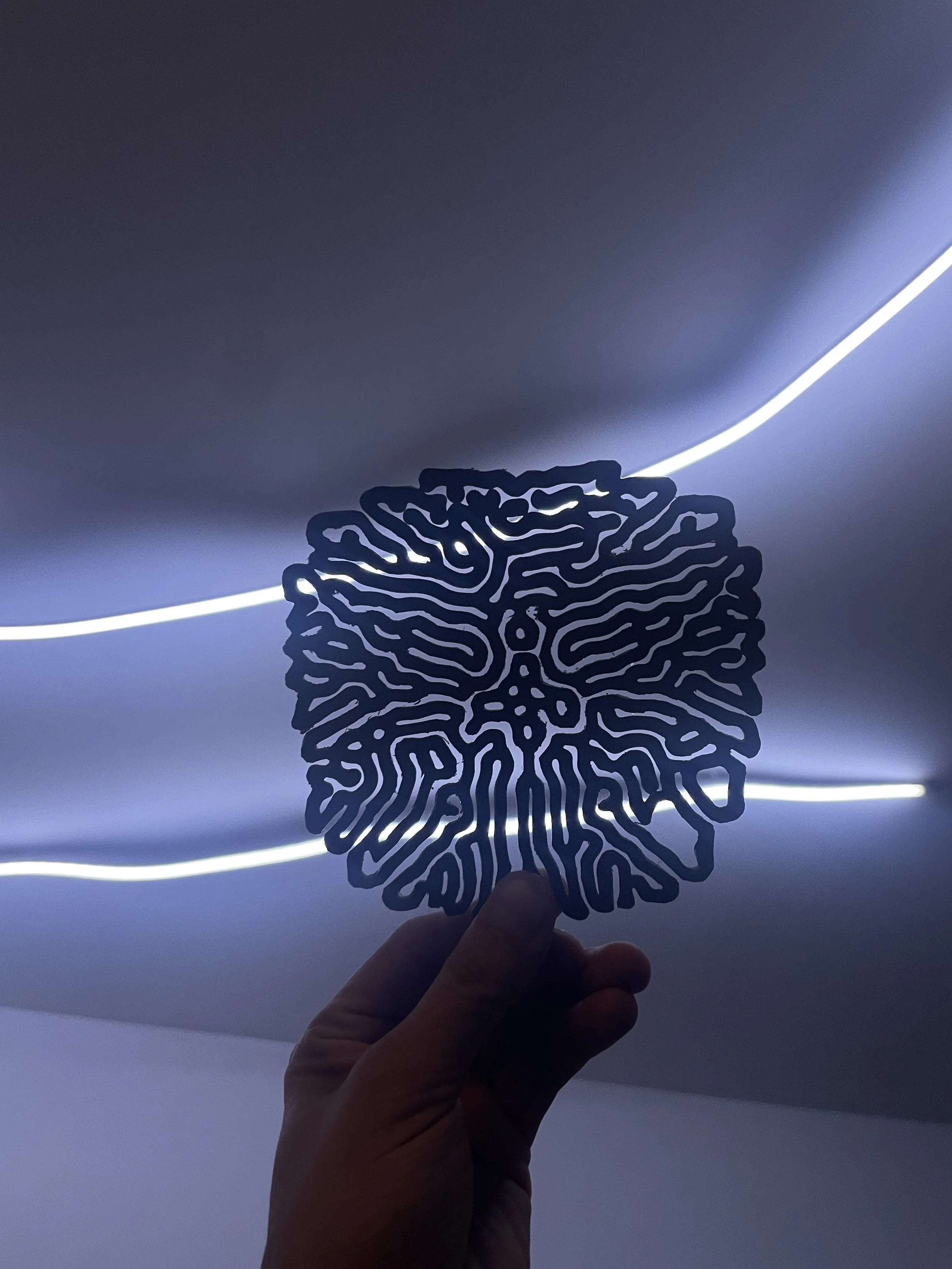Person holding a black decorative object with intricate maze-like design against a dark background with blue and white lighting. Hypha Inc. Digital Marketing & Advertising Agency, Tulum