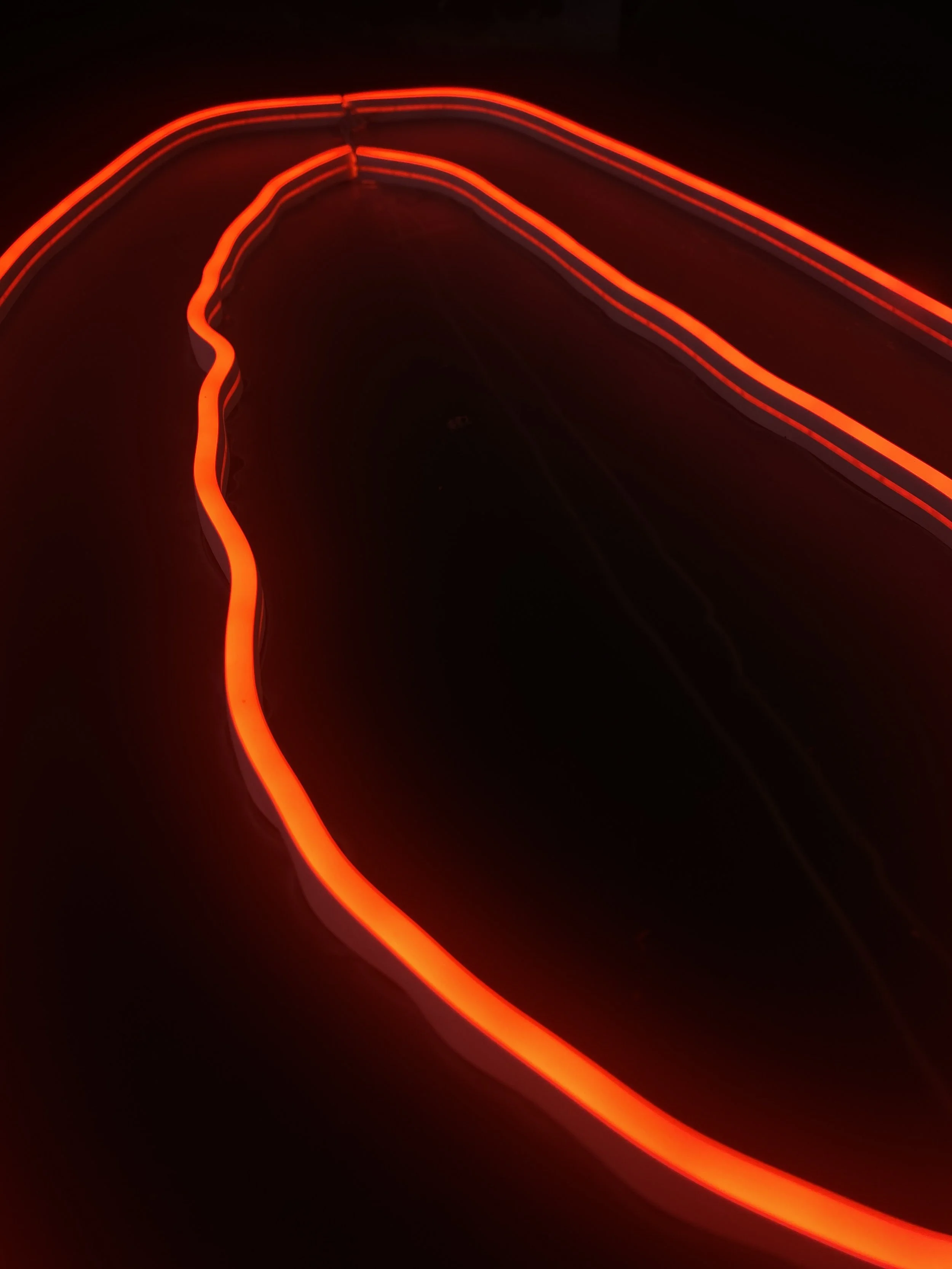 Red neon light traces curvilinear paths on a dark background, creating abstract shapes and glowing lines. Hypha Inc Marketing Agency and Creative Studio Lab, Tulum.