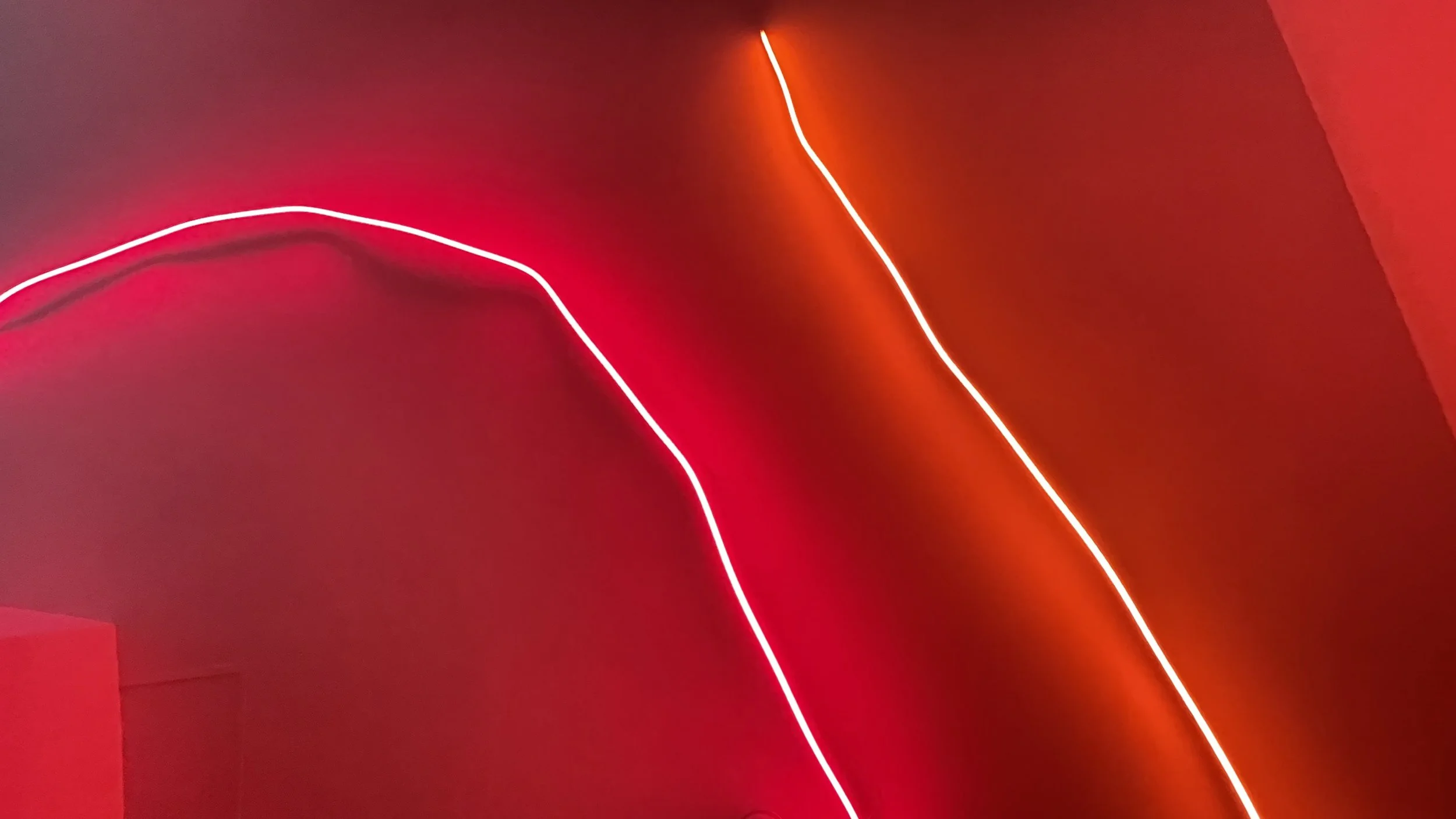 Red and orange glowing neon lights against a red background. Hypha Inc Marketing Agency and Creative Studio Lab, Tulum.