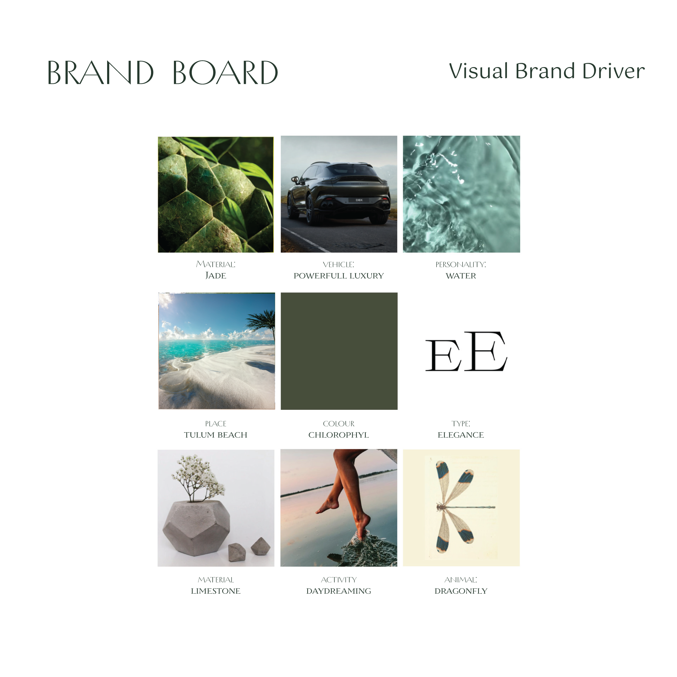visual brand driver - branding studio tulum - hypha inc