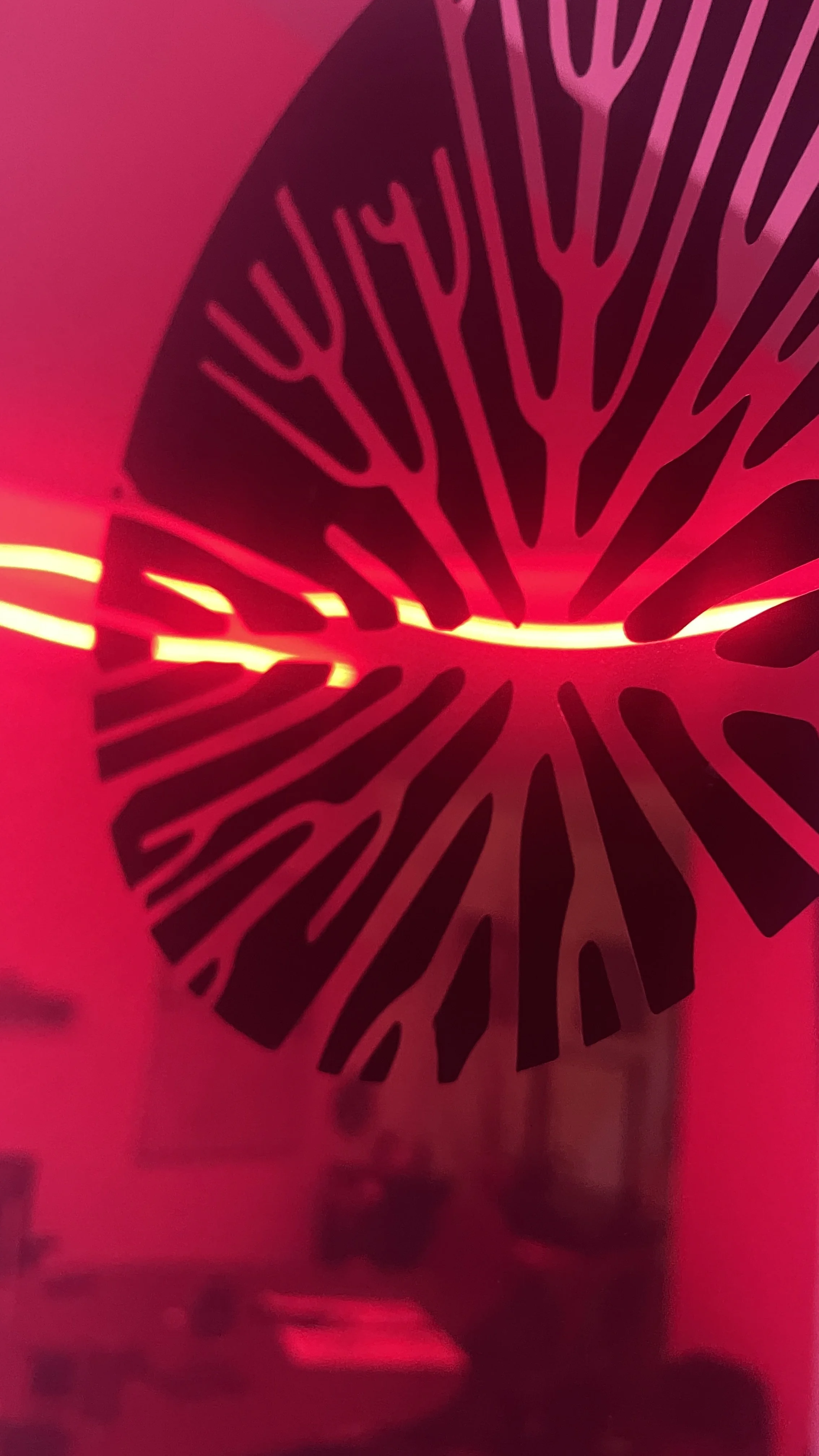 Close-up of a black decorative leaf with cut-out veins, illuminated by red light from behind. Hypha Inc. Marketing Agency and Creative Studio Lab, Tulum.