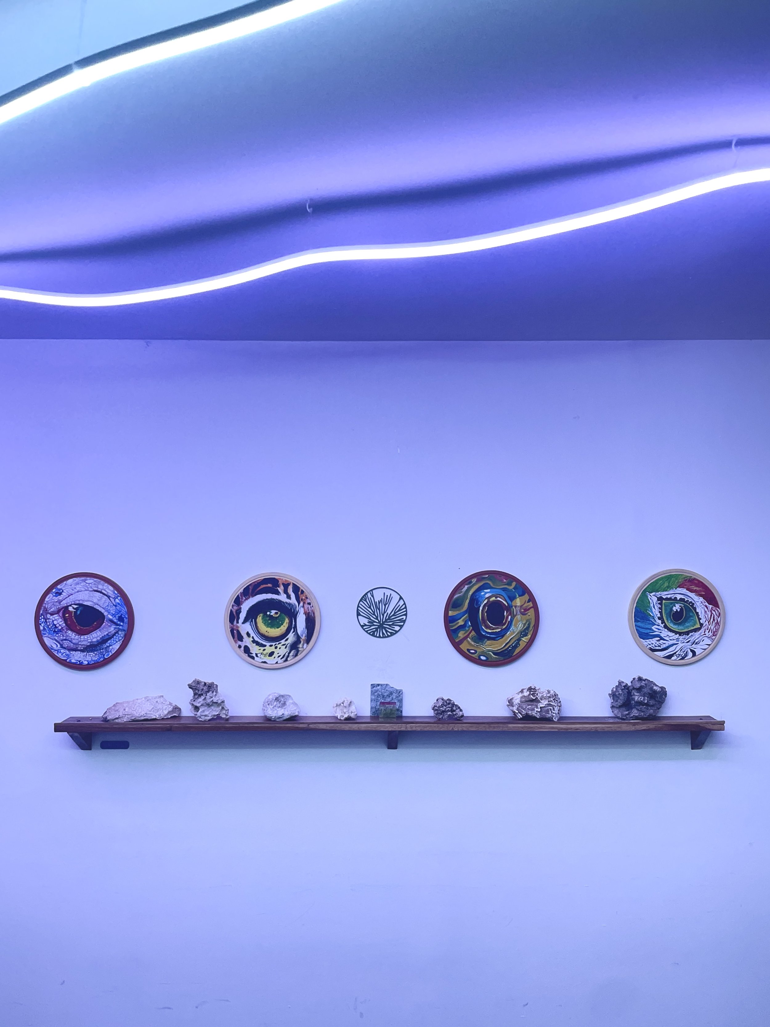Wall display with five colorful, eye-themed art plates on a shelf, framed by a blue wall and illuminated by blue neon lighting. Hypha Inc Marketing Agency and Creative Studio Lab, Tulum.