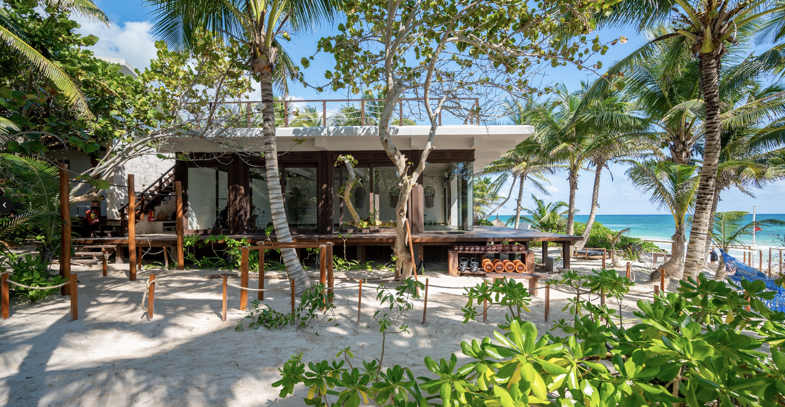 Captura de pantalla 2026-03-20 a la(s) 14.53.30.png