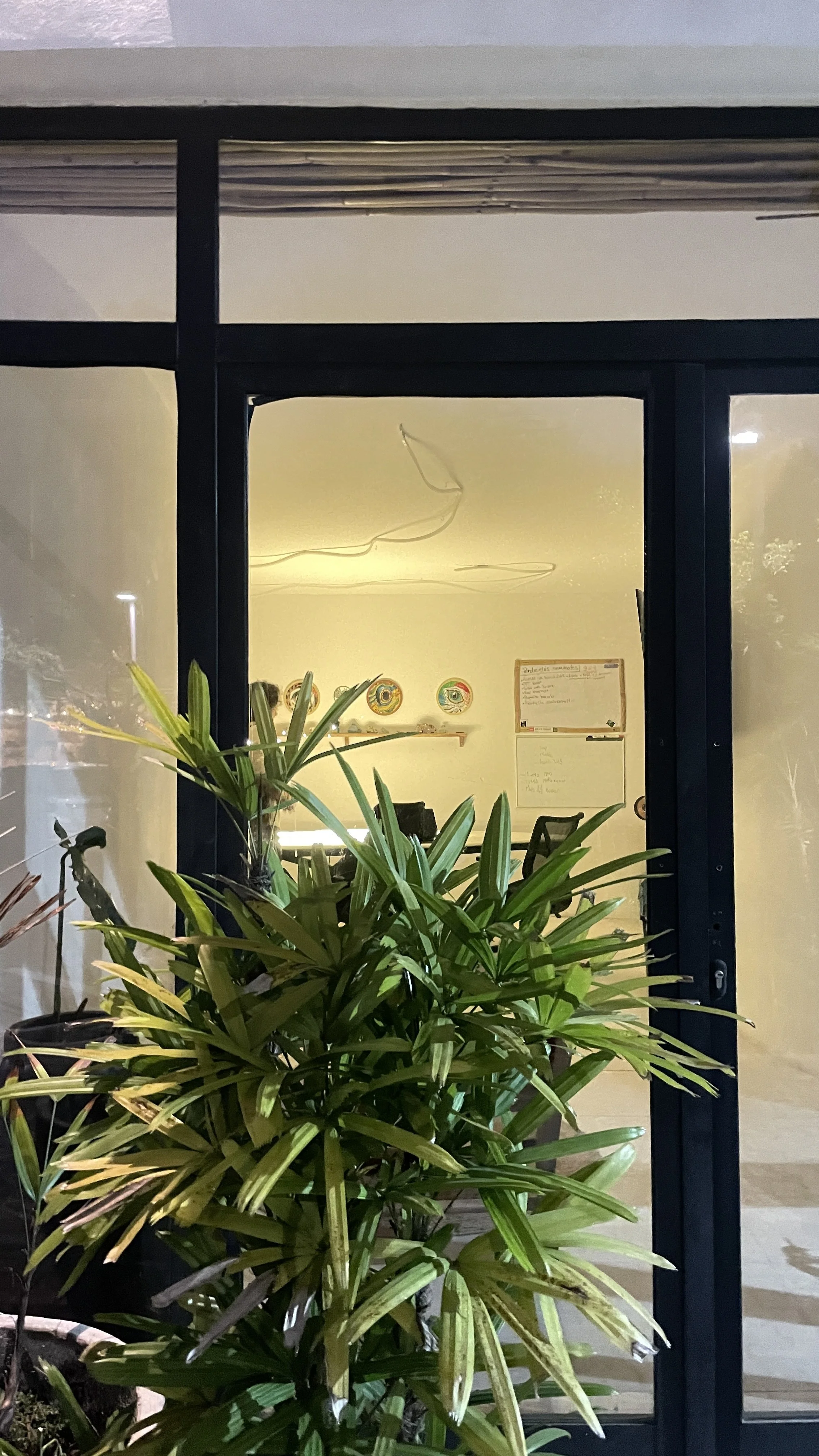View of an office entrance with large glass doors, partially obscured by a large leafy green plant in the foreground, and a bright, well-lit room with whiteboards and colorful plates on the wall inside. Hypha Inc Marketing Agency and Creative Studio 