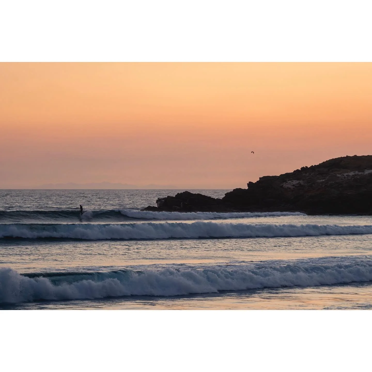 Baja - a beautifully remote and wild place. I didn&rsquo;t know what to expect. Would I get bored? Could I handle all of the stillness? Could I surf down there as a noob?

Turns out, this place had answers I didn&rsquo;t know I was looking for. Falli
