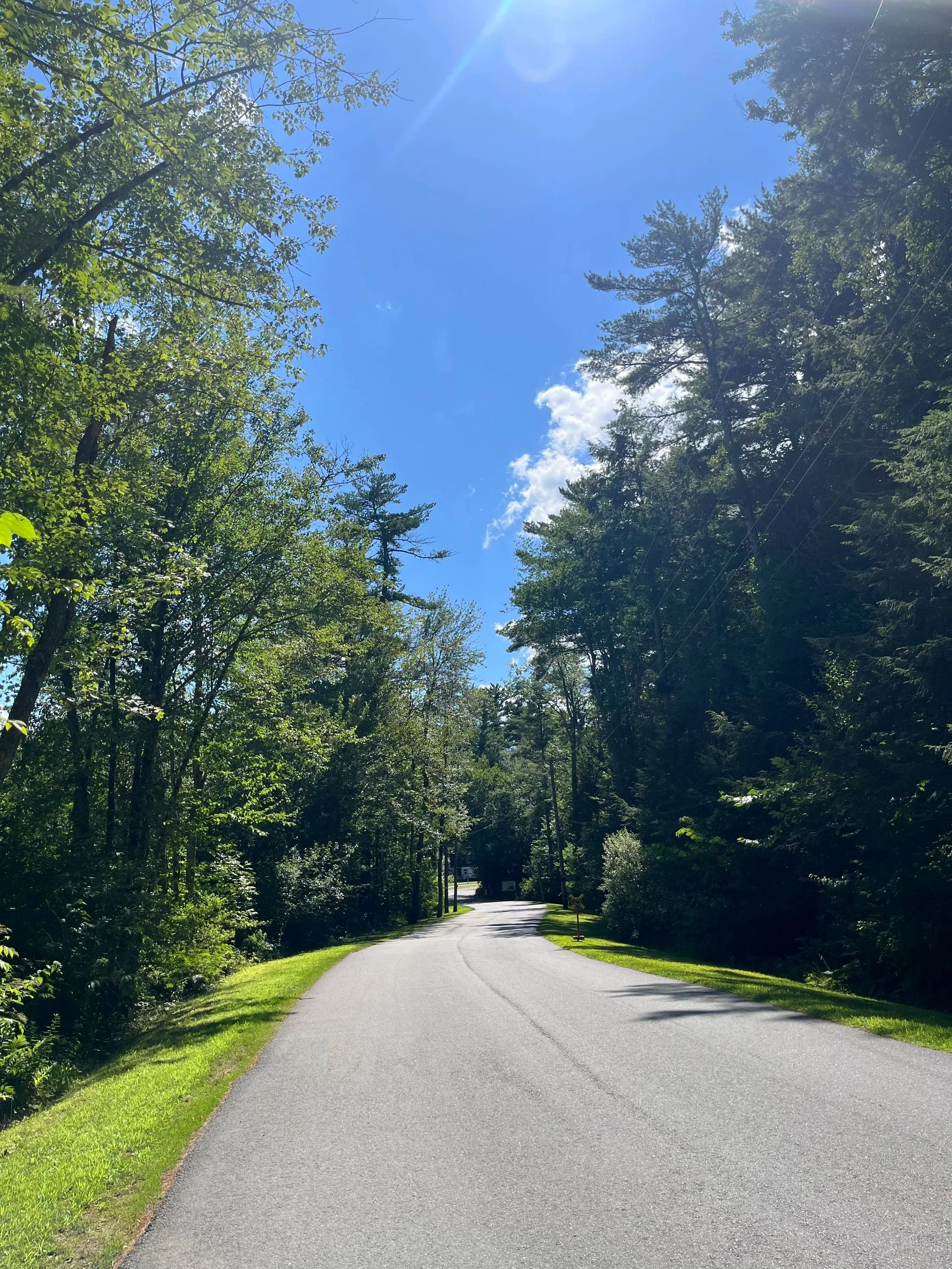 A winding asphalt road through a lush green forest under a clear blue sky with a bright sun and a few scattered clouds.