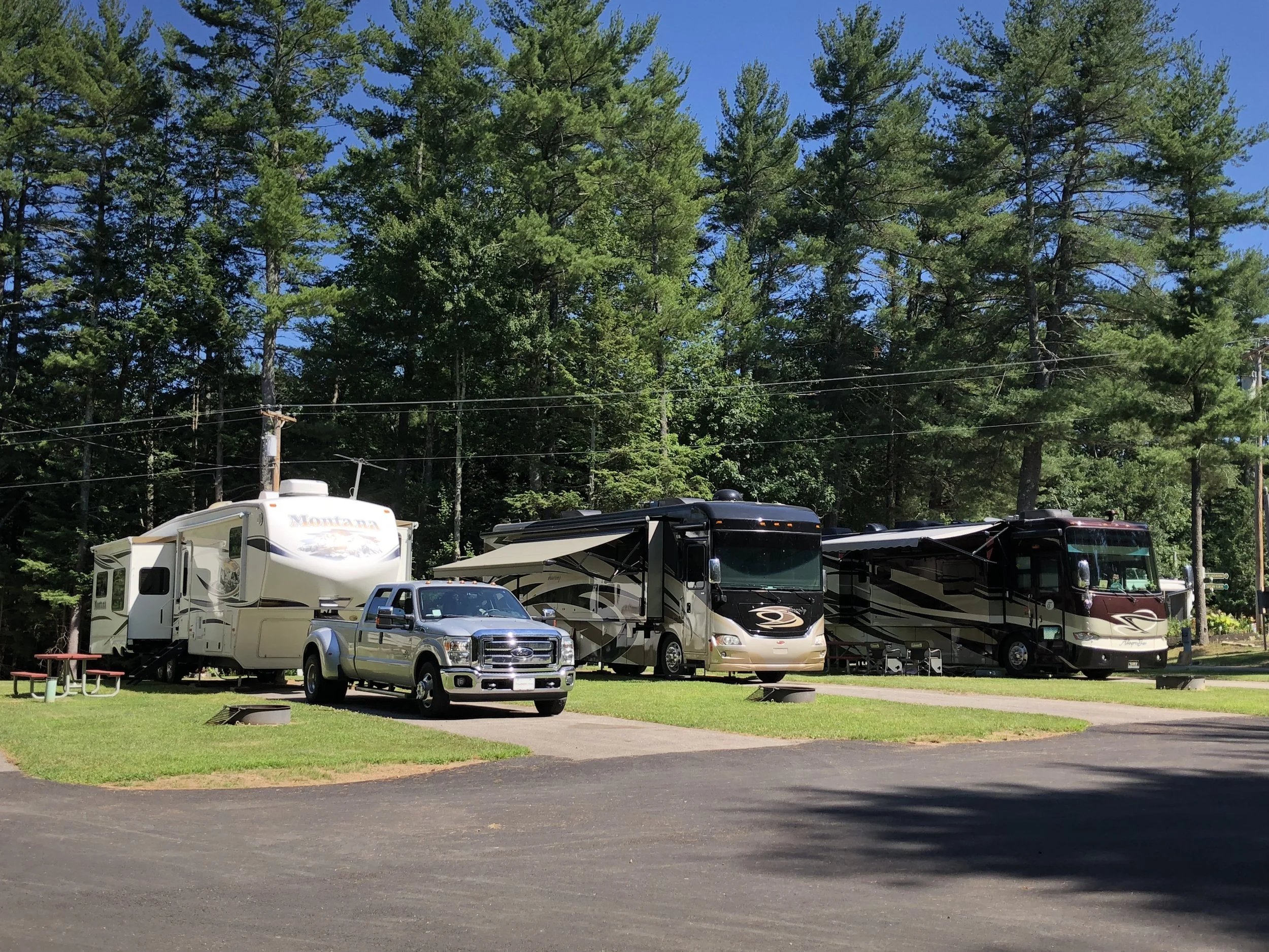 Three RVs and a pickup truck parked on a grassy area with tall pine trees in the background.