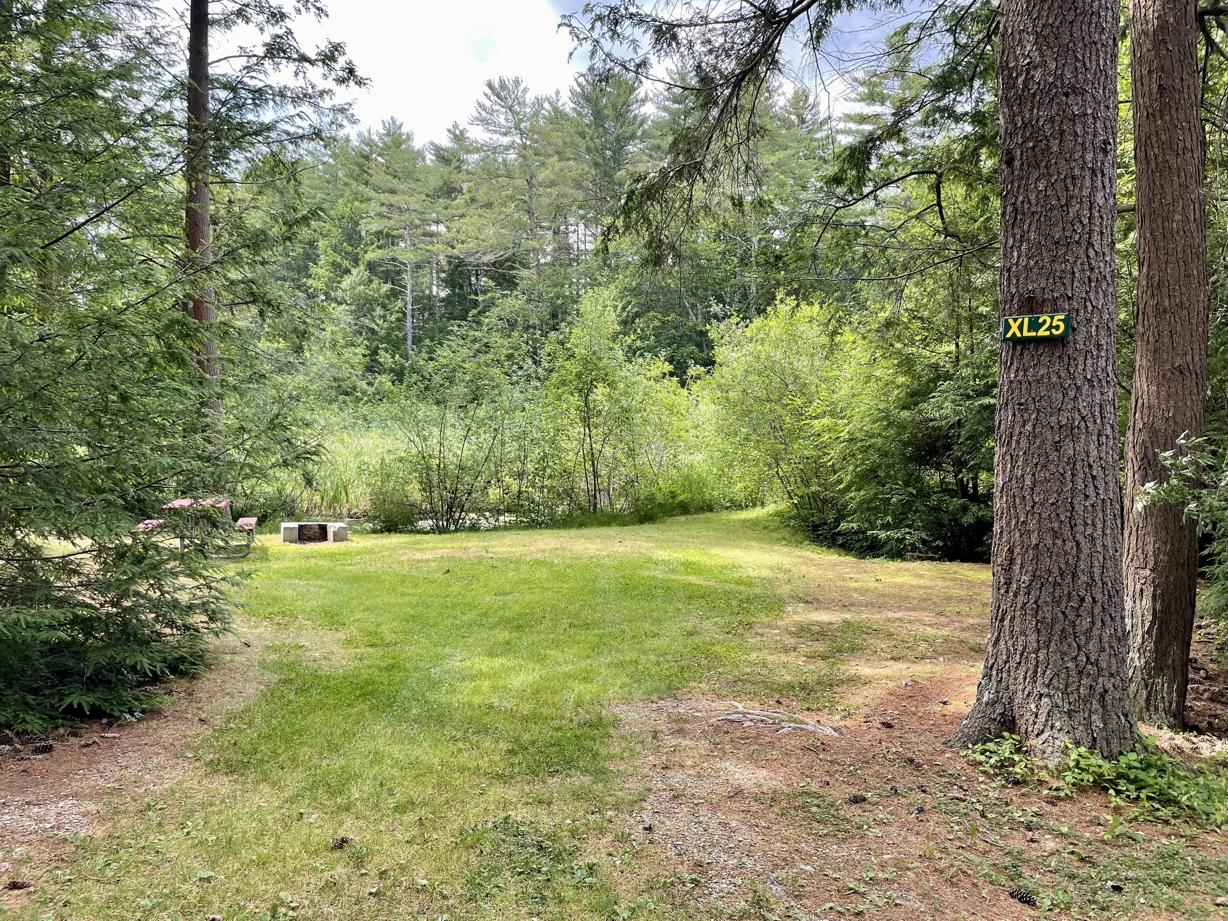 A wooded outdoor area with a grassy clearing, trees, and a small fire pit. One tree has a yellow and black sign reading "XL25" attached to its trunk.