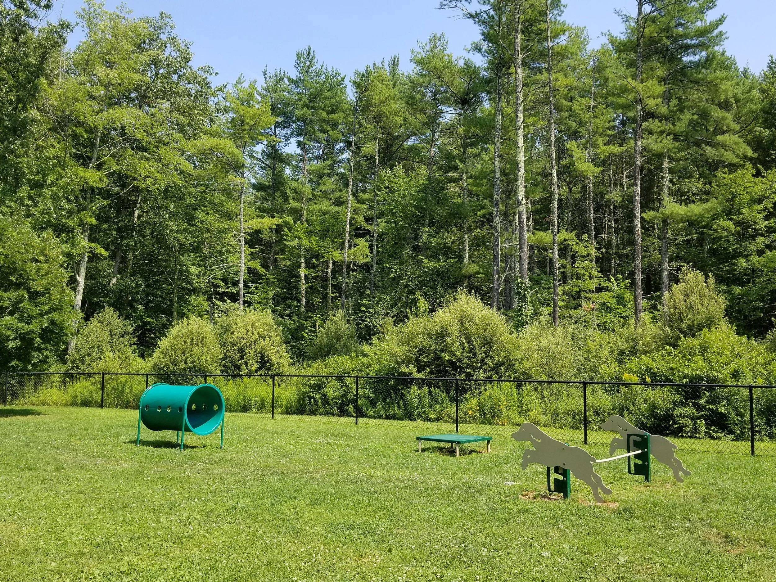 A grassy outdoor area with dog agility equipment, including a turquoise tunnel, two white and green horse-shaped jumping obstacles, and a small green platform, with a backdrop of trees and a black wire fence.