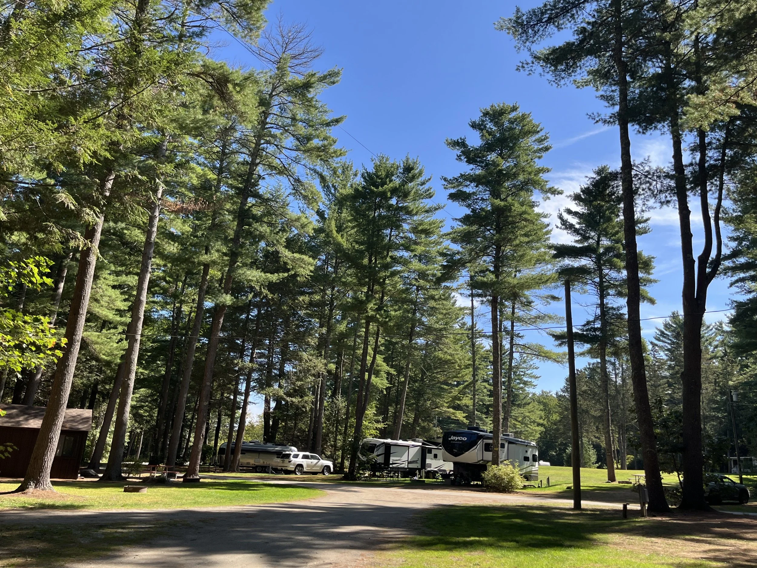 A campground with tall pine trees, RV trailers, and parked vehicles under a clear blue sky with a few wispy clouds.
