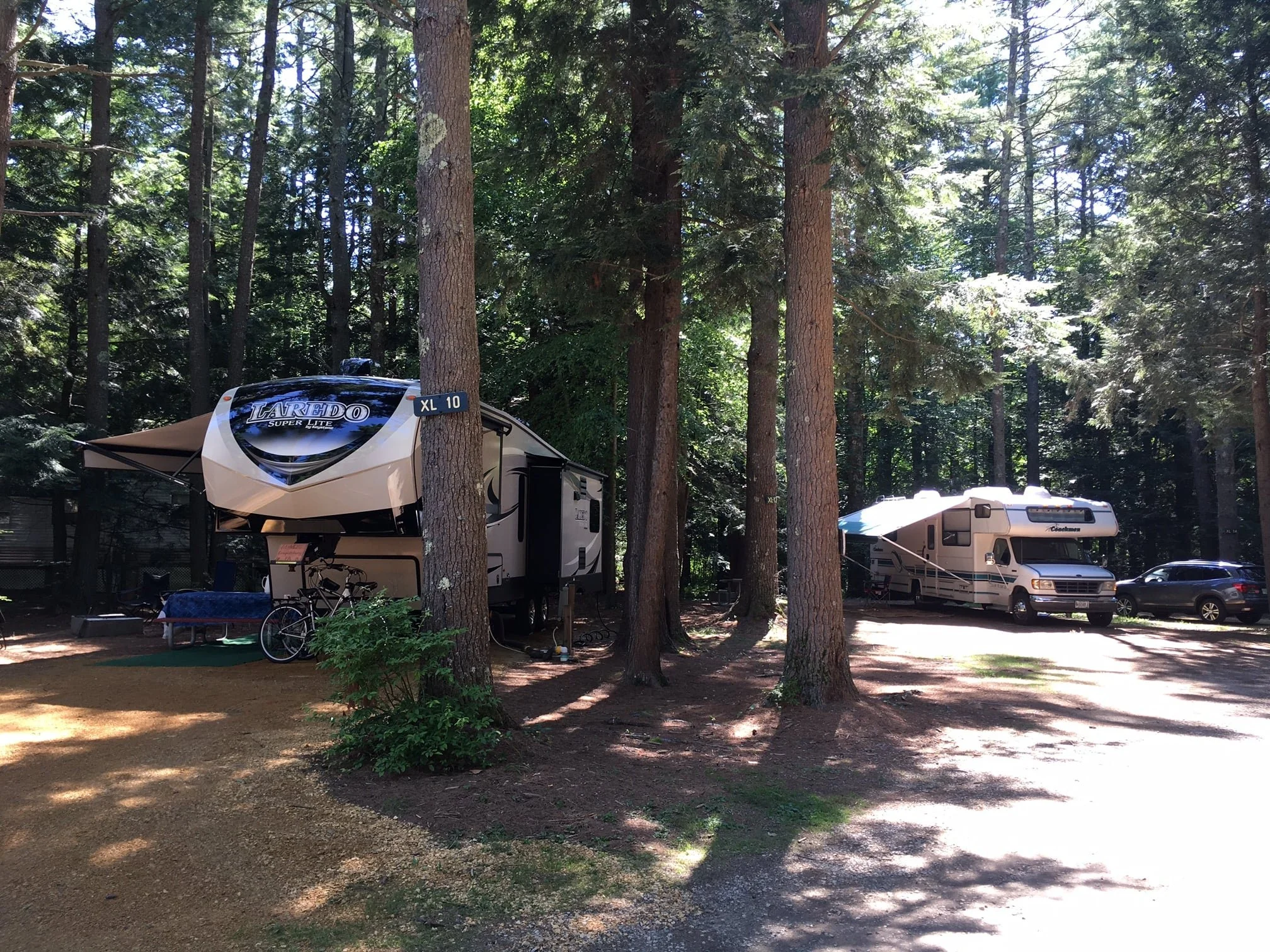 Campground with two RVs parked among tall pine trees, with bicycles and outdoor furniture visible near the left RV.