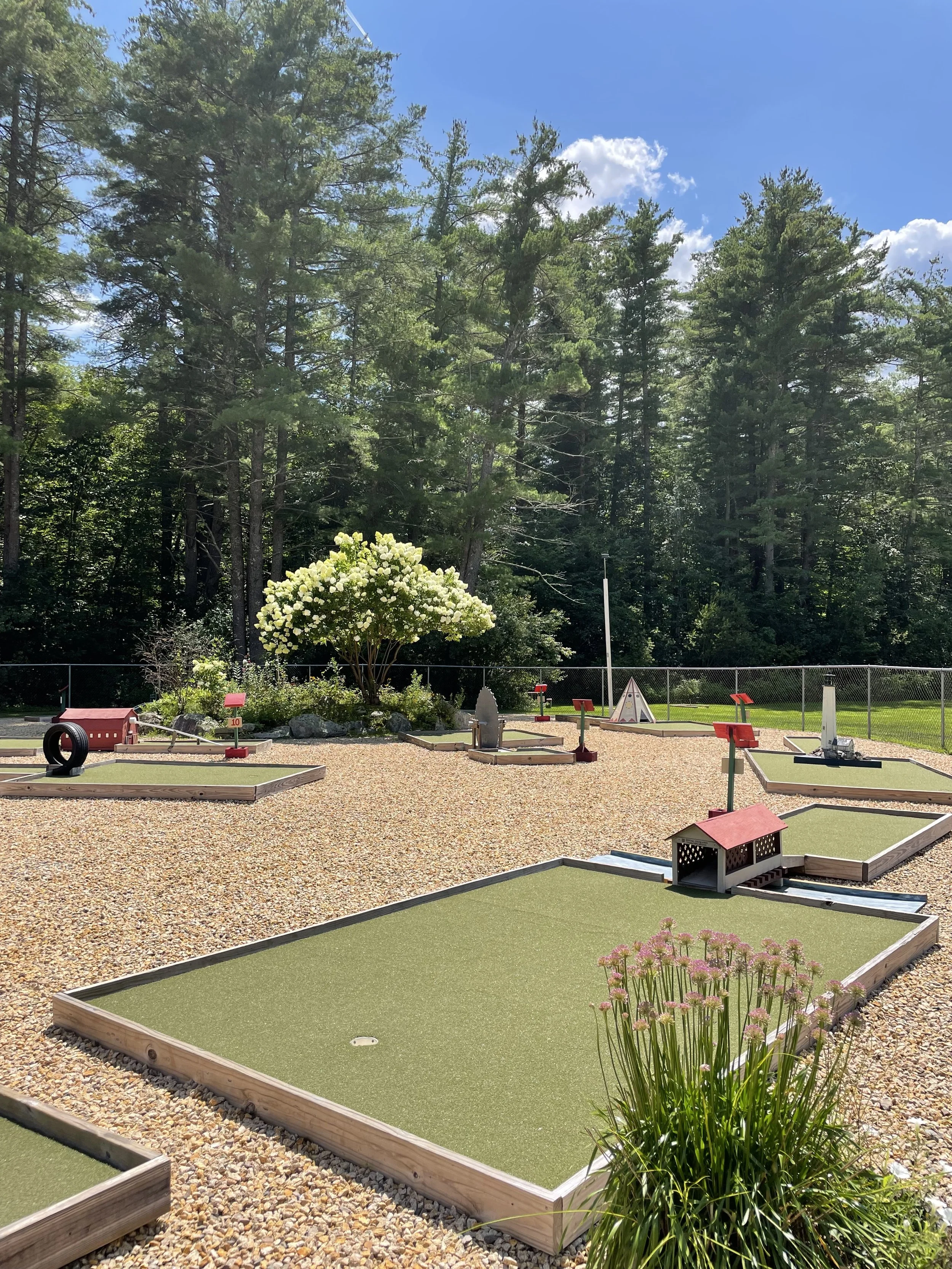 Miniature golf course with several greens, decorative elements, and a background of tall trees and a bright blue sky with some clouds.