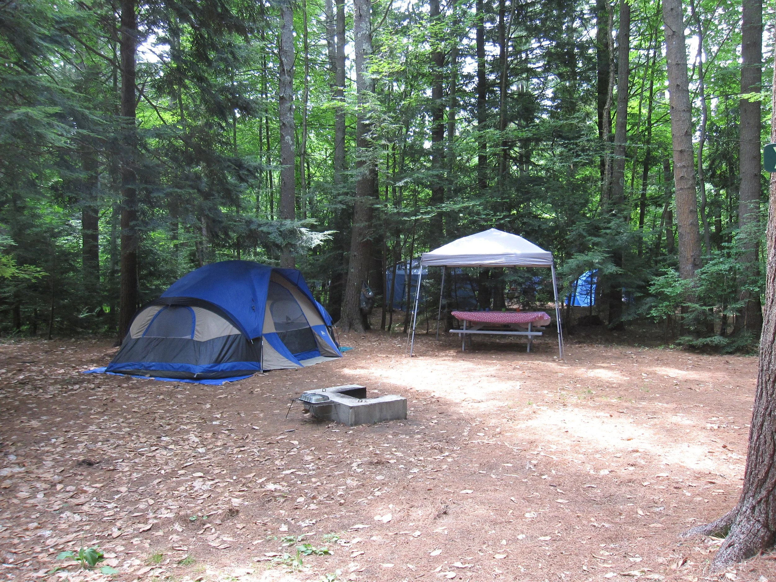 A campsite in a forest with a blue tent, a white canopy, and a picnic table.