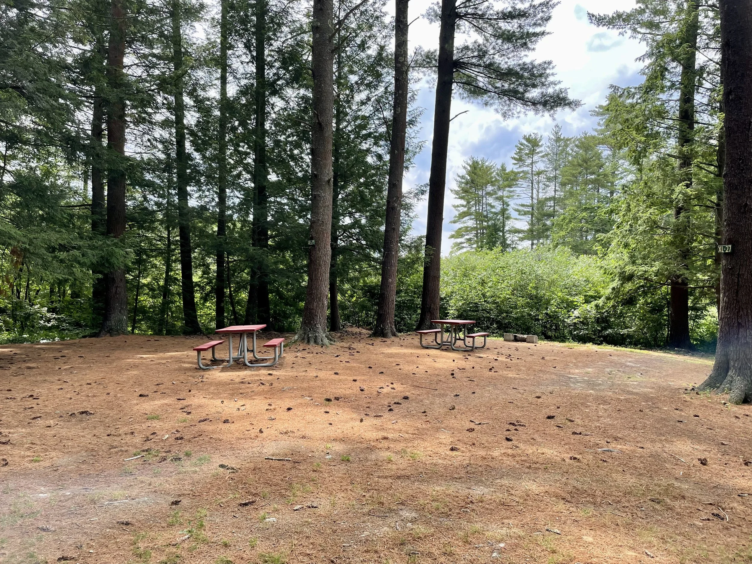 A forest campsite with three picnic tables surrounded by tall trees and a dirt clearing on a partly cloudy day.