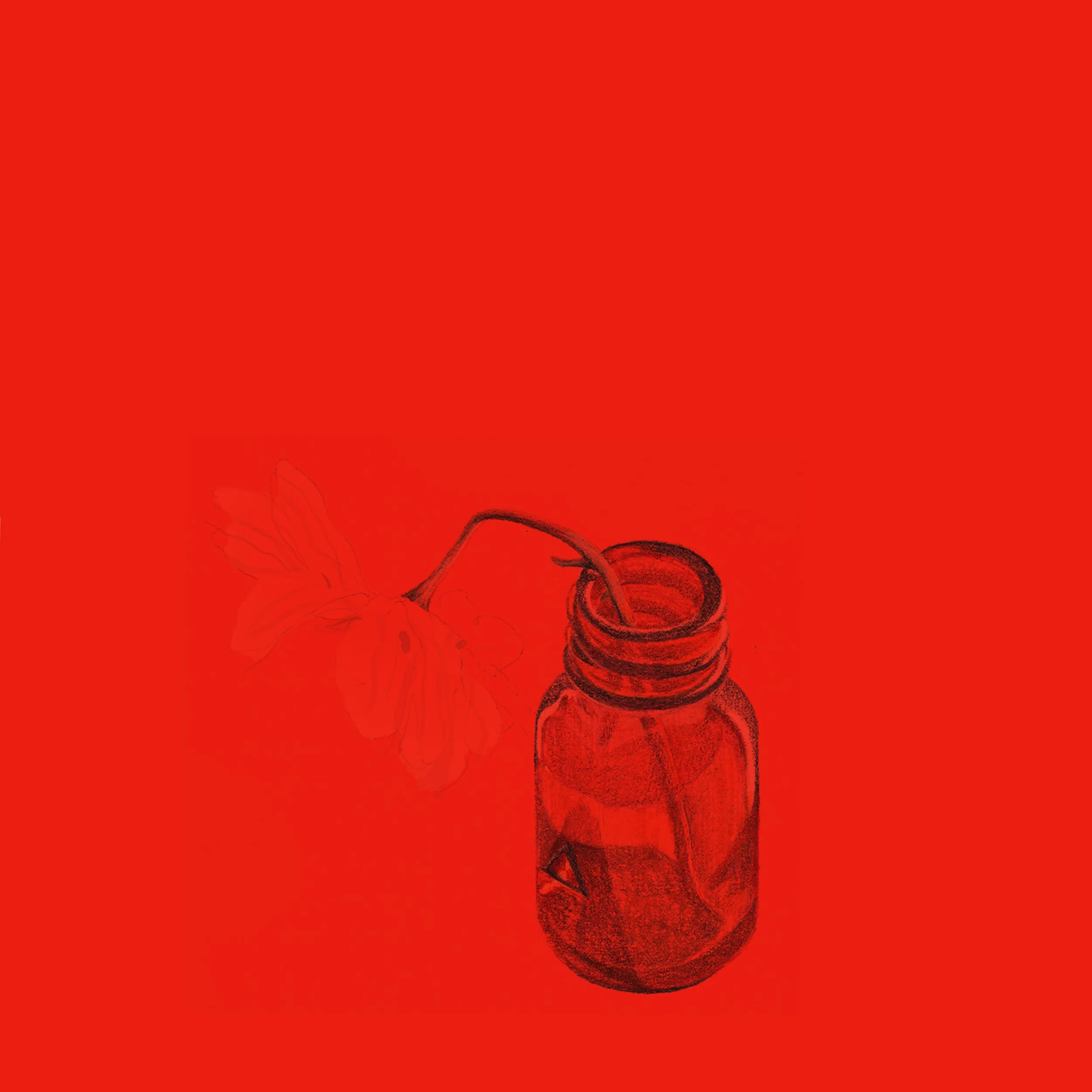 A black sketch of a small glass jar with a plant sprouting from it, set against a bright red background.
