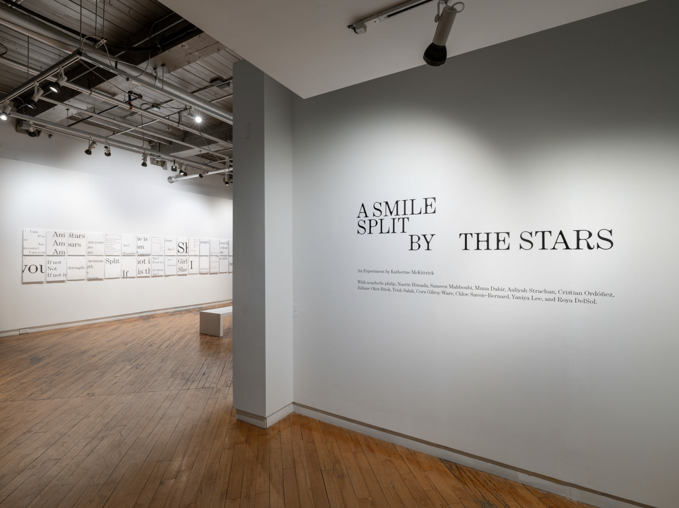 Writing Workshop: A Smile Split by the Stars