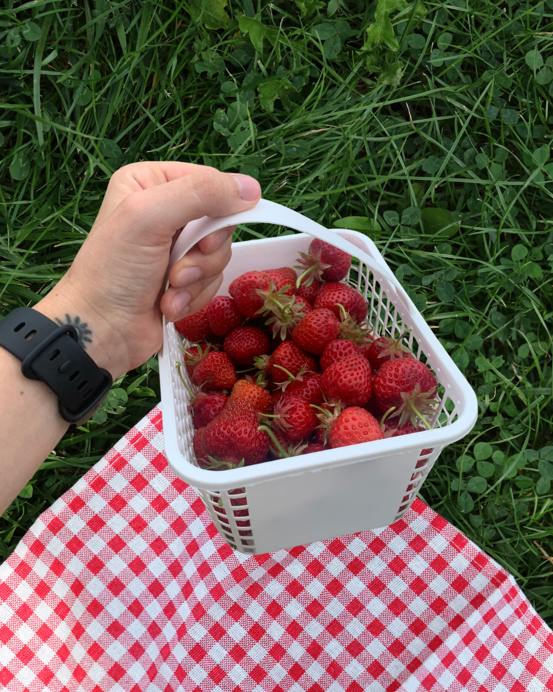 Community Picnic