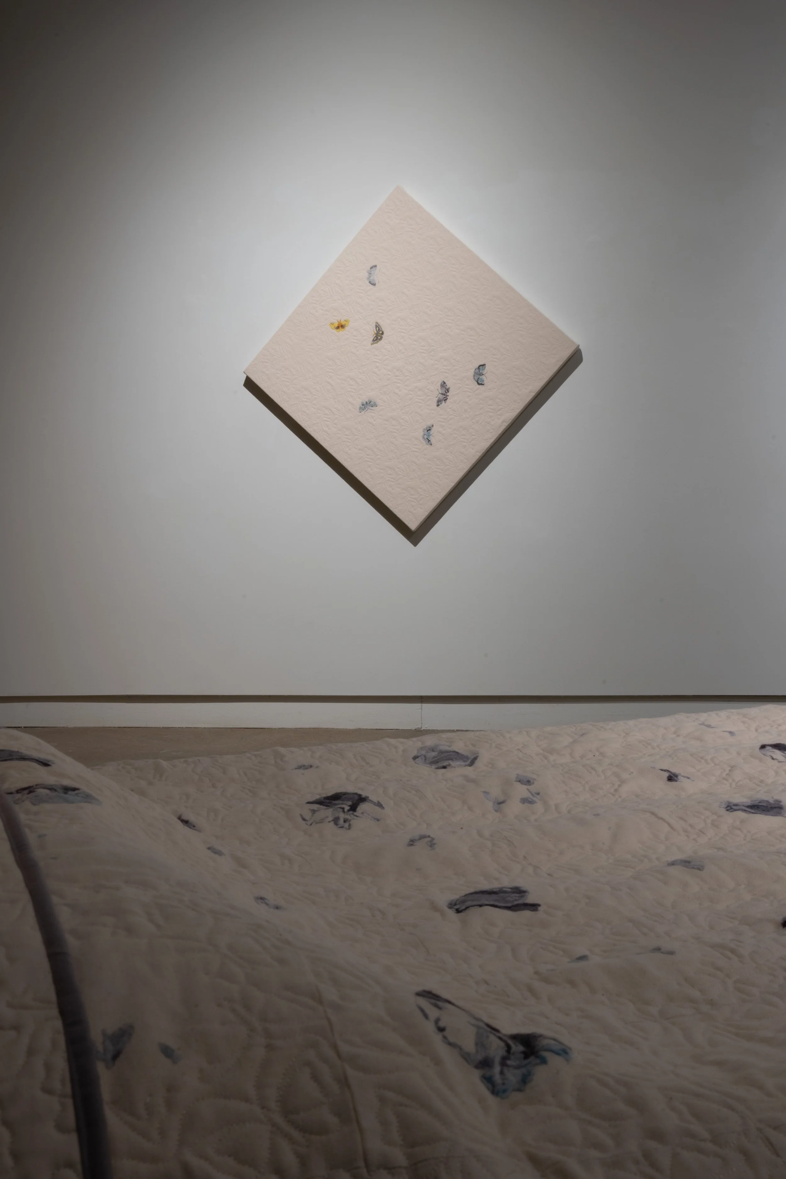 
Photography by Chris Miner